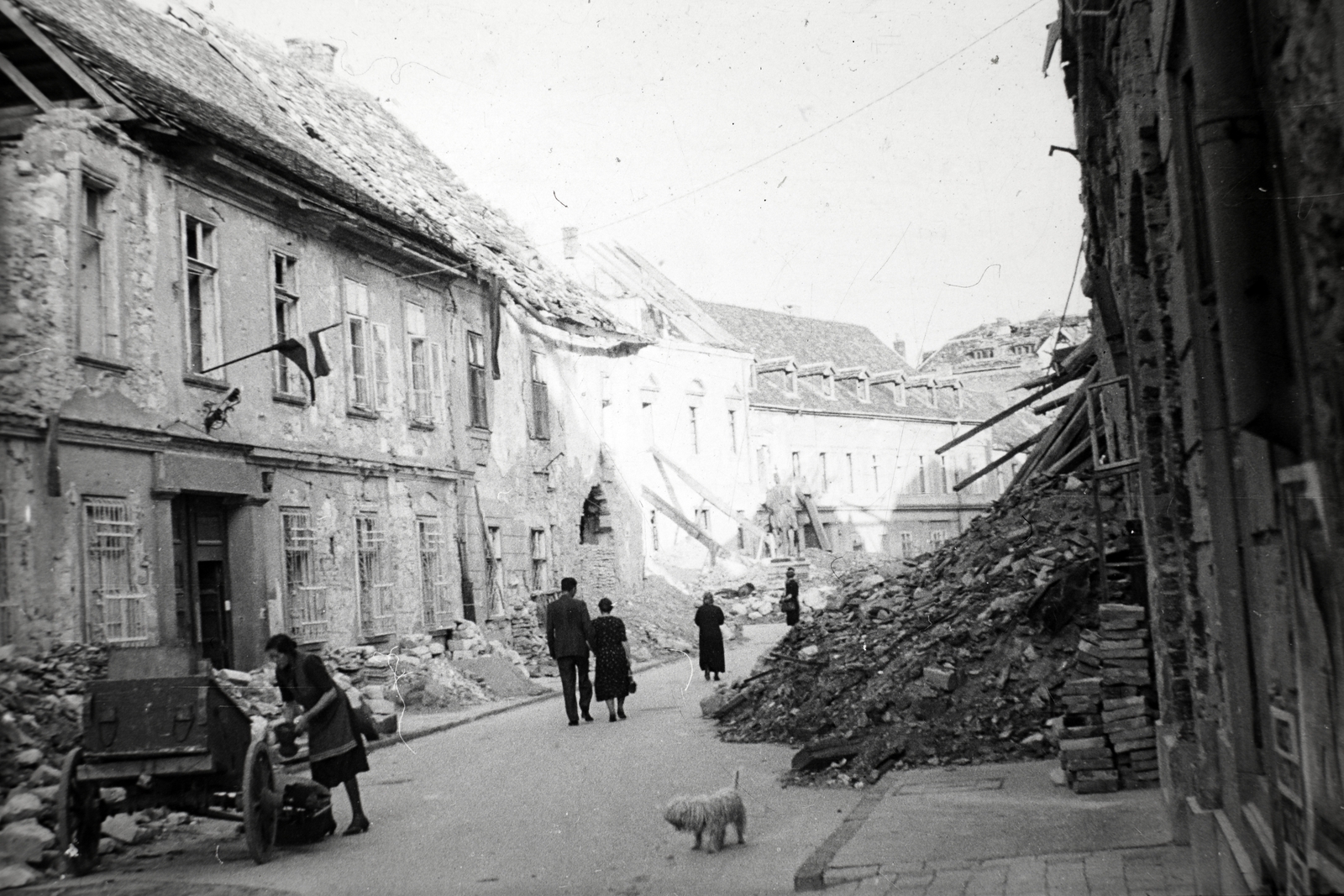 Hungary, Budapest I., Úri utca a Nőegylet utca felől a Szentháromság utca felé nézve., 1945, Fortepan, dog, ruins, damaged building, Budapest, flag, cart, Fortepan #45596
