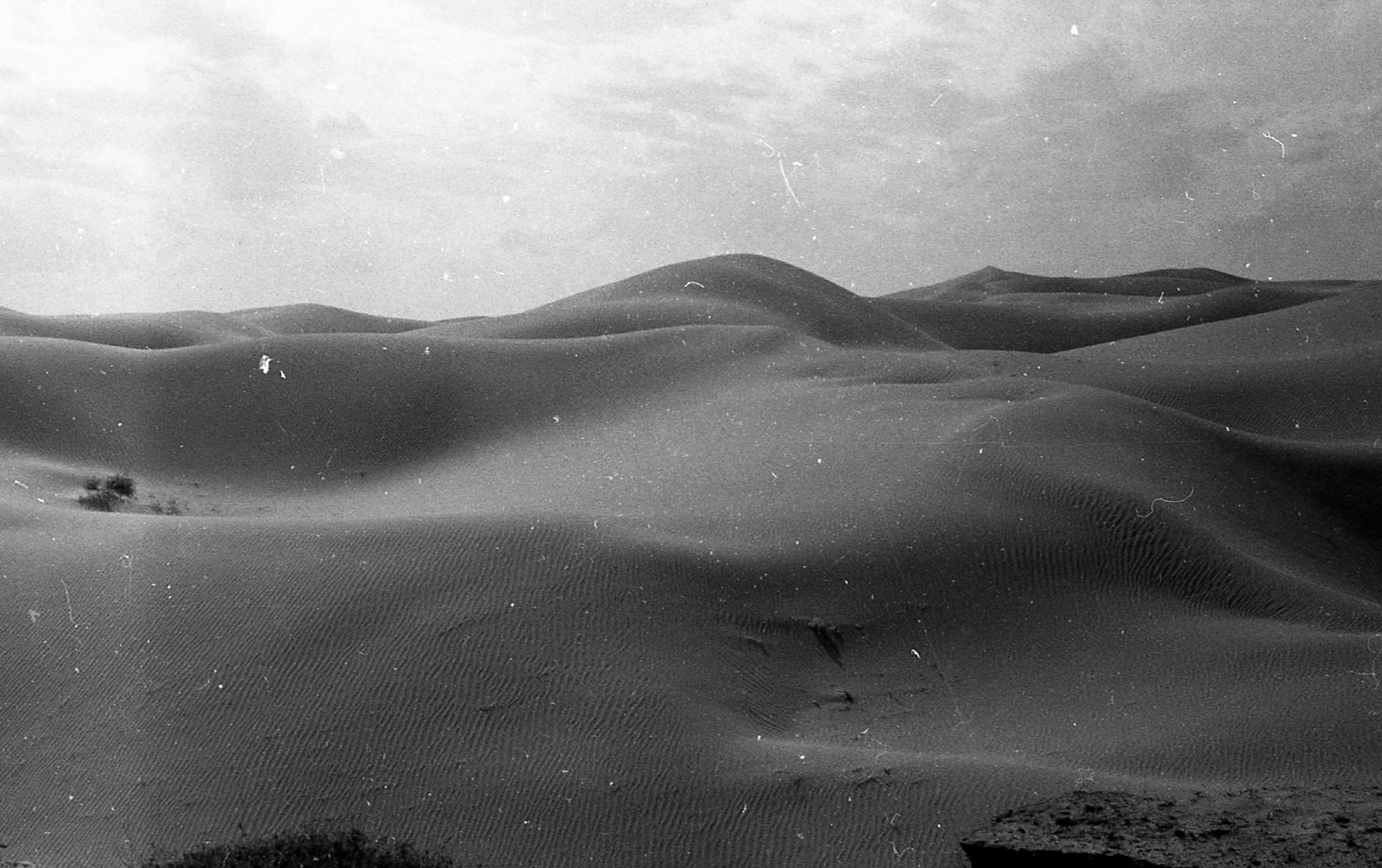 China, 1959, Kina, solitude, desert, sand, dune, Fortepan #45657