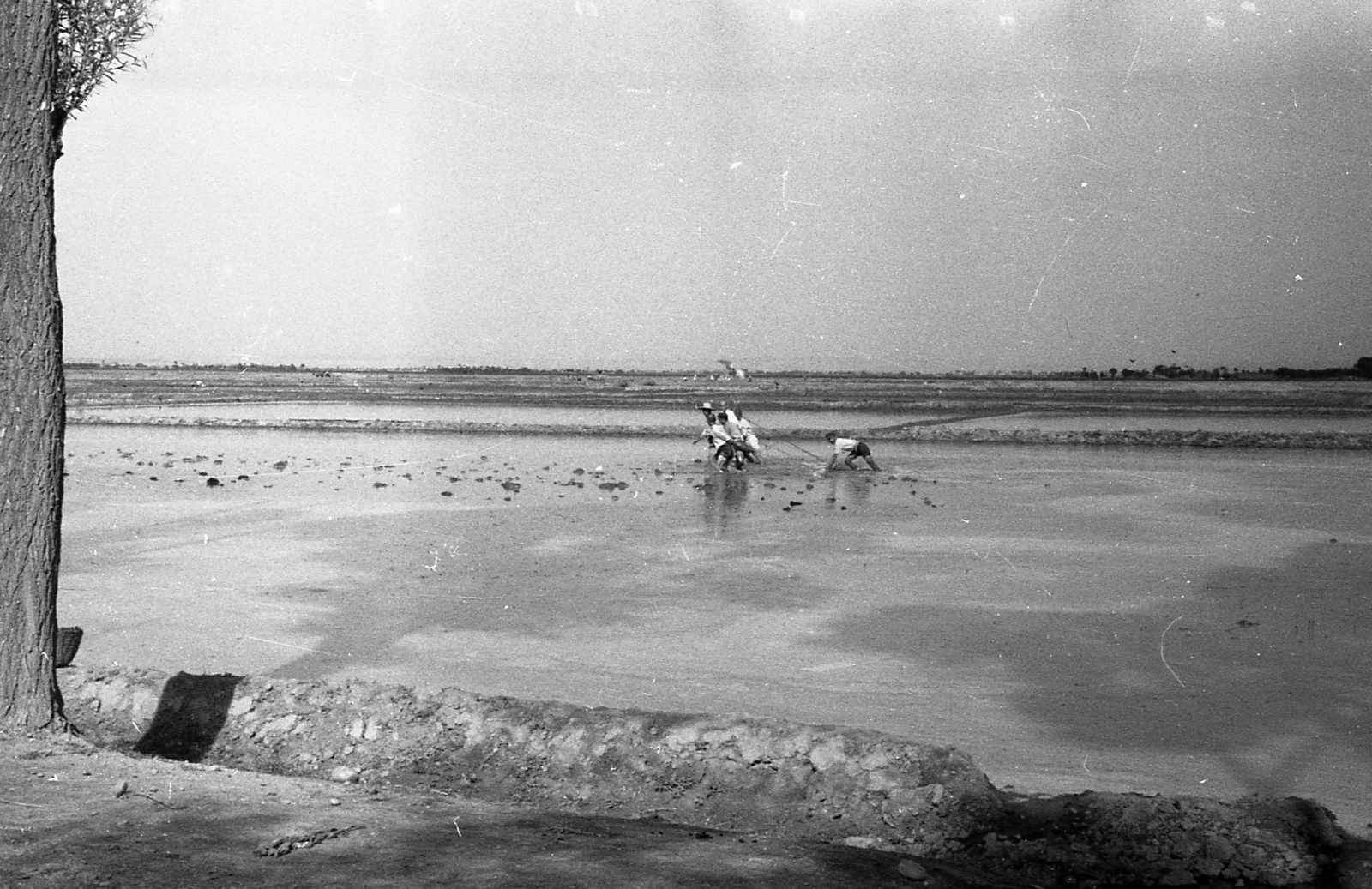 China, 1959, Kina, men, tillage, riceland, Fortepan #45692