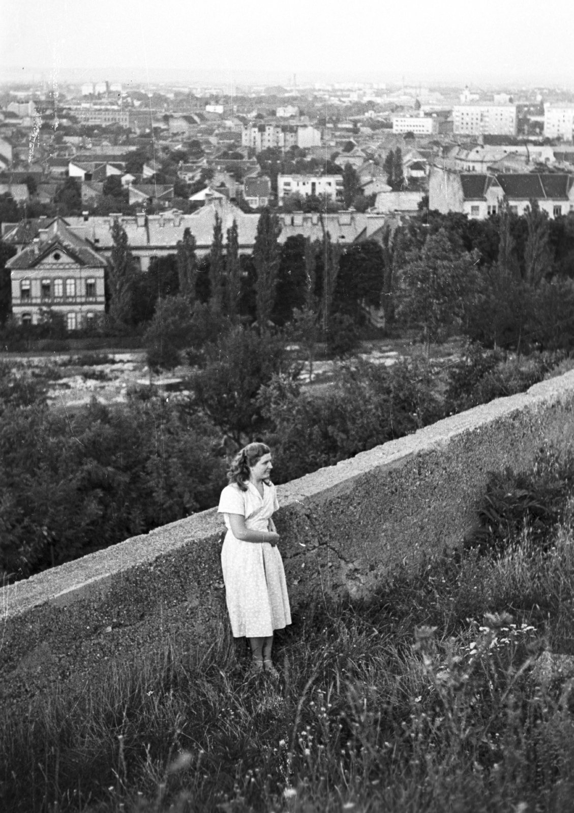 Magyarország, Óbuda, Budapest III., panoráma a Schmidt kastély felől, előtérben a Margit kórház épületei., 1958, Krasznai Gyula, látkép, nő, Budapest, Fortepan #45729