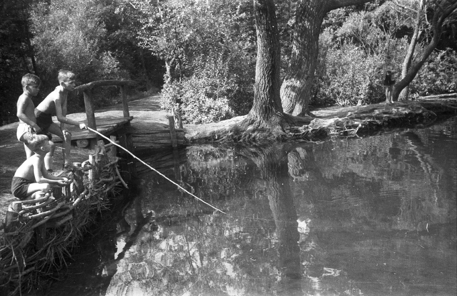 1956, Lencse Zoltán, free time, water surface, kid, fishing, summer, kids, shore, boys, wooden bridge, Fortepan #46063