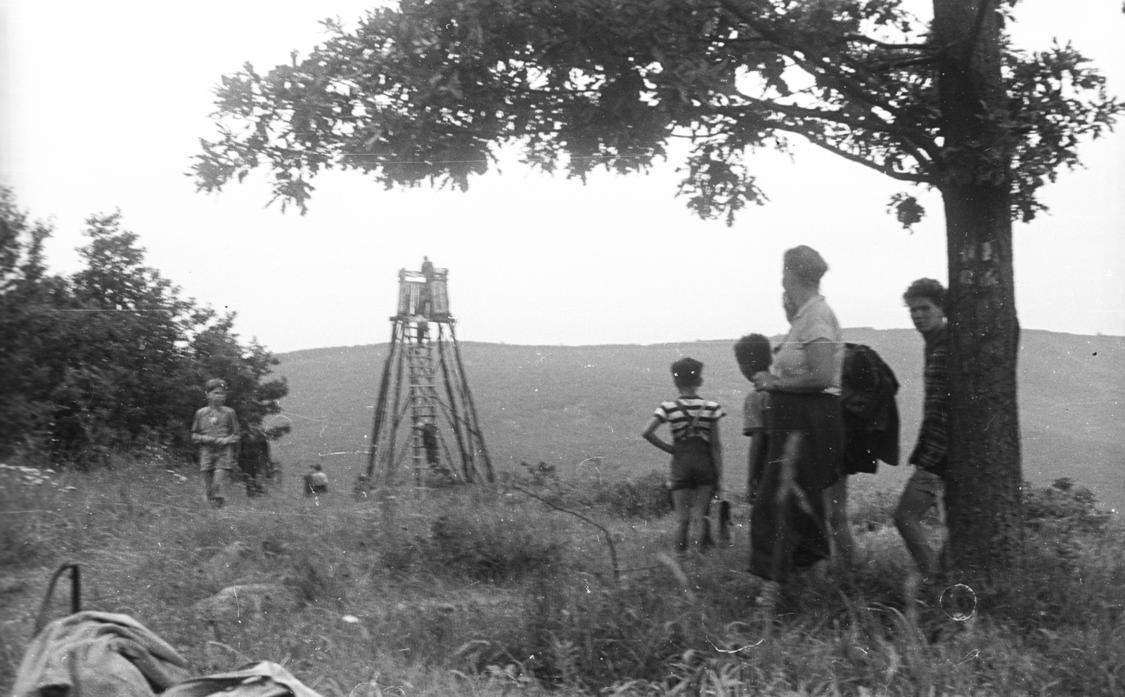 Hungary, Szentendre, Annavölgy, úttörőtábor., 1957, Lencse Zoltán, wood, High-stand, Fortepan #46108