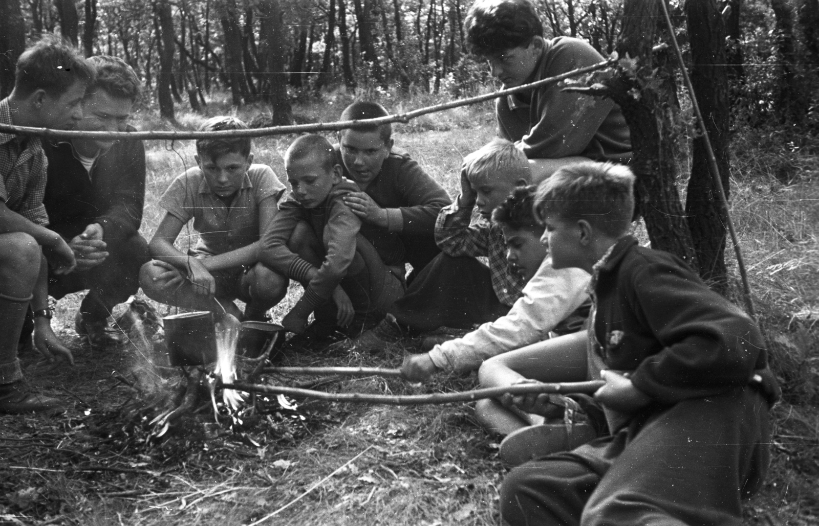 Magyarország, Szentendre, Annavölgy, úttörőtábor., 1957, Lencse Zoltán, erdő, gyermek, kirándulás, boldogság, tábortűz, szalonnasütés, Fortepan #46112