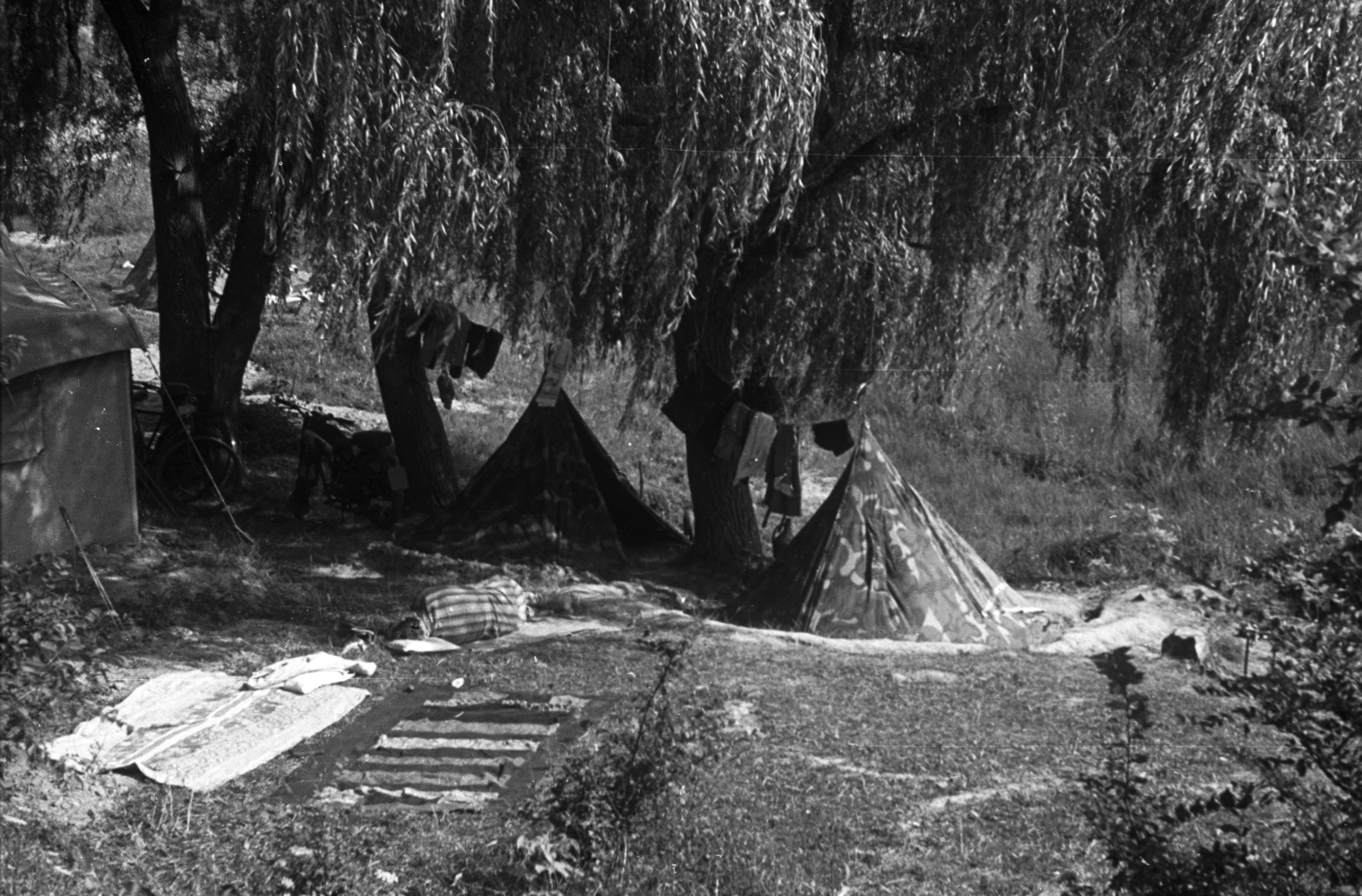 Hungary, Szentendre, Annavölgy., 1957, Lencse Zoltán, woods, tent, camp, ground cloth, Fortepan #46118