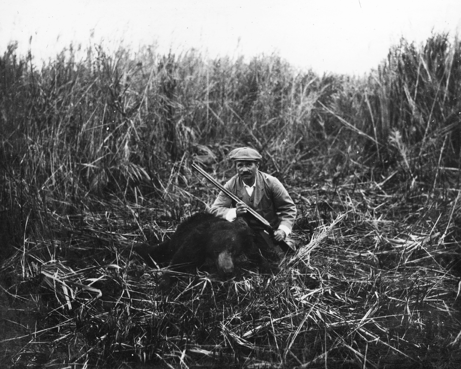 India, Assam tartomány, Sidli környéke, báró Vojnich Oszkár egy kilőtt ajakos medvével., 1911, Vojnich Pál, hunter, bear, hunting, weapon, Fortepan #46196