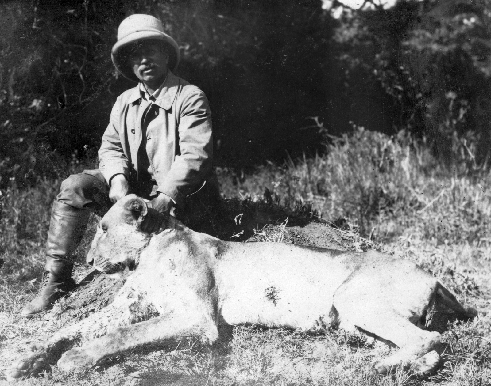 1911, Vojnich Pál, hat, hunter, hunting, lion, Fortepan #46199