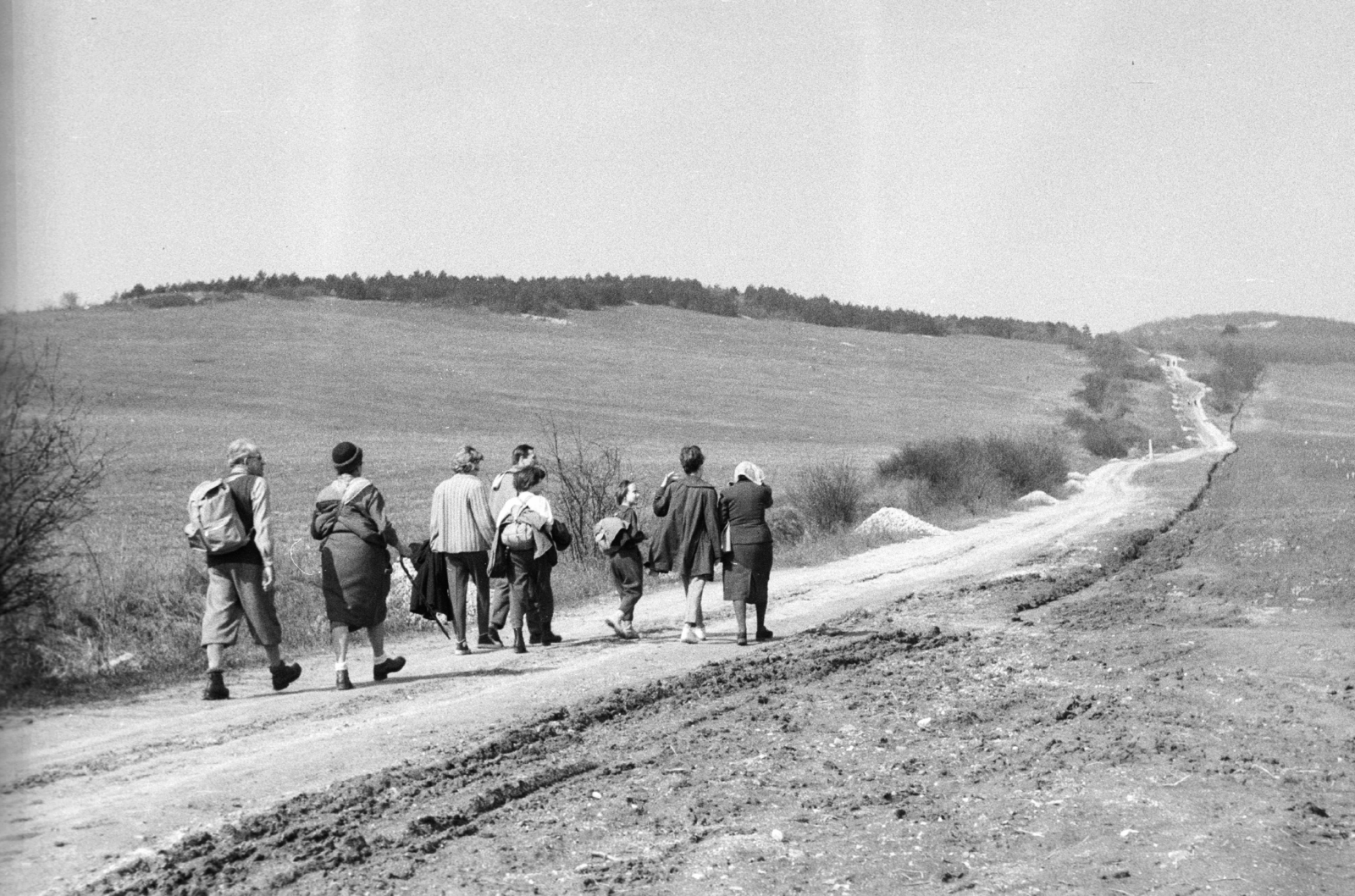 Hungary, Üröm, Nagy-Kevély felé vezető turistaút., 1965, Mészáros Zoltán, excursion, Fortepan #46518