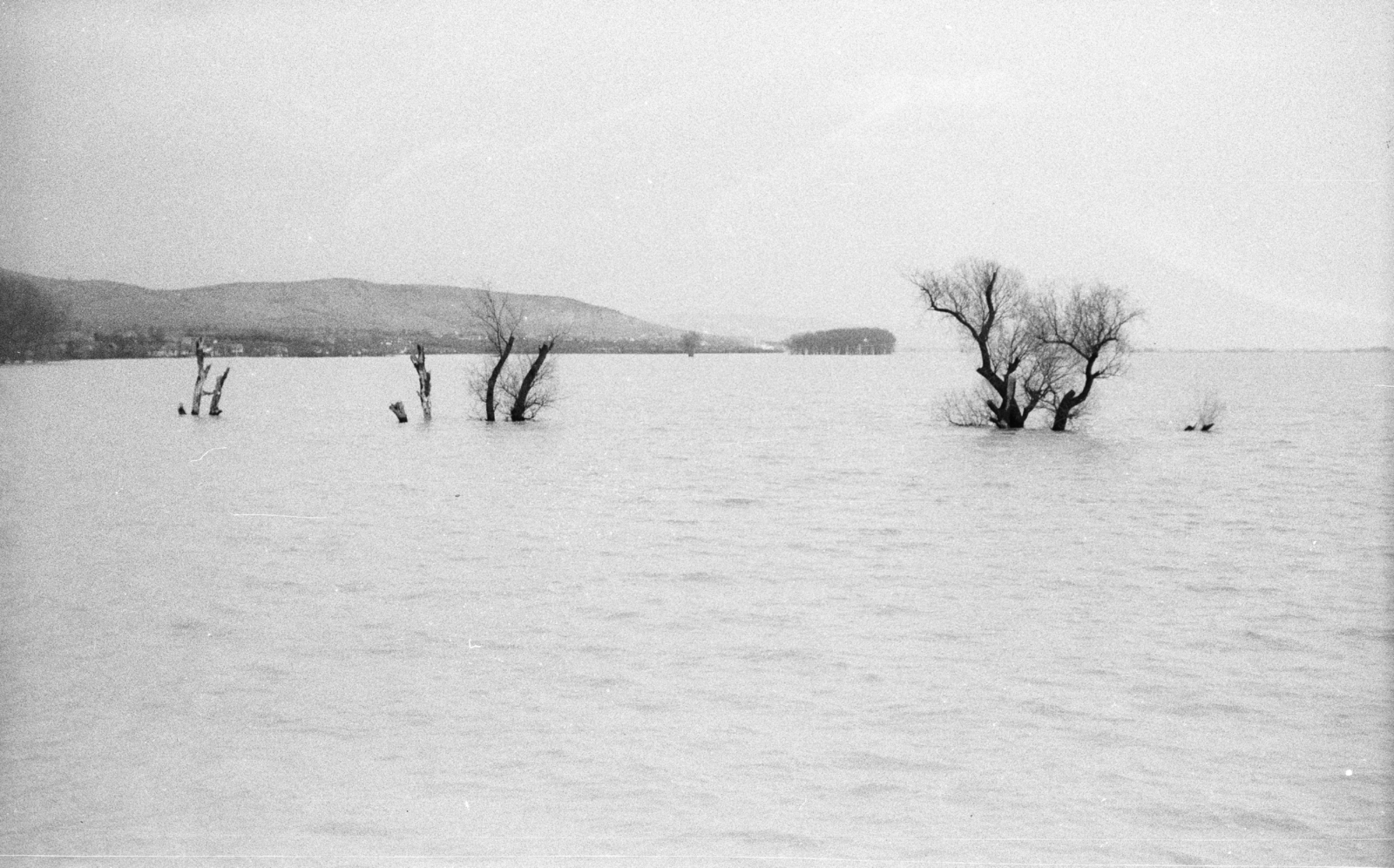 Hungary, Bodrogkeresztúr, a megáradt Bodrog 1964. április 8., 1964, Mészáros Zoltán, flood, Fortepan #46519