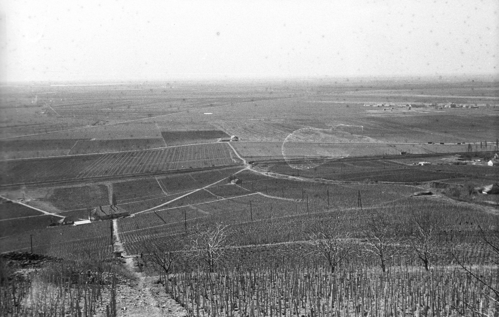Hungary, Tokaj, szőlőültetvény., 1965, Mészáros Zoltán, vine hill, Fortepan #46520