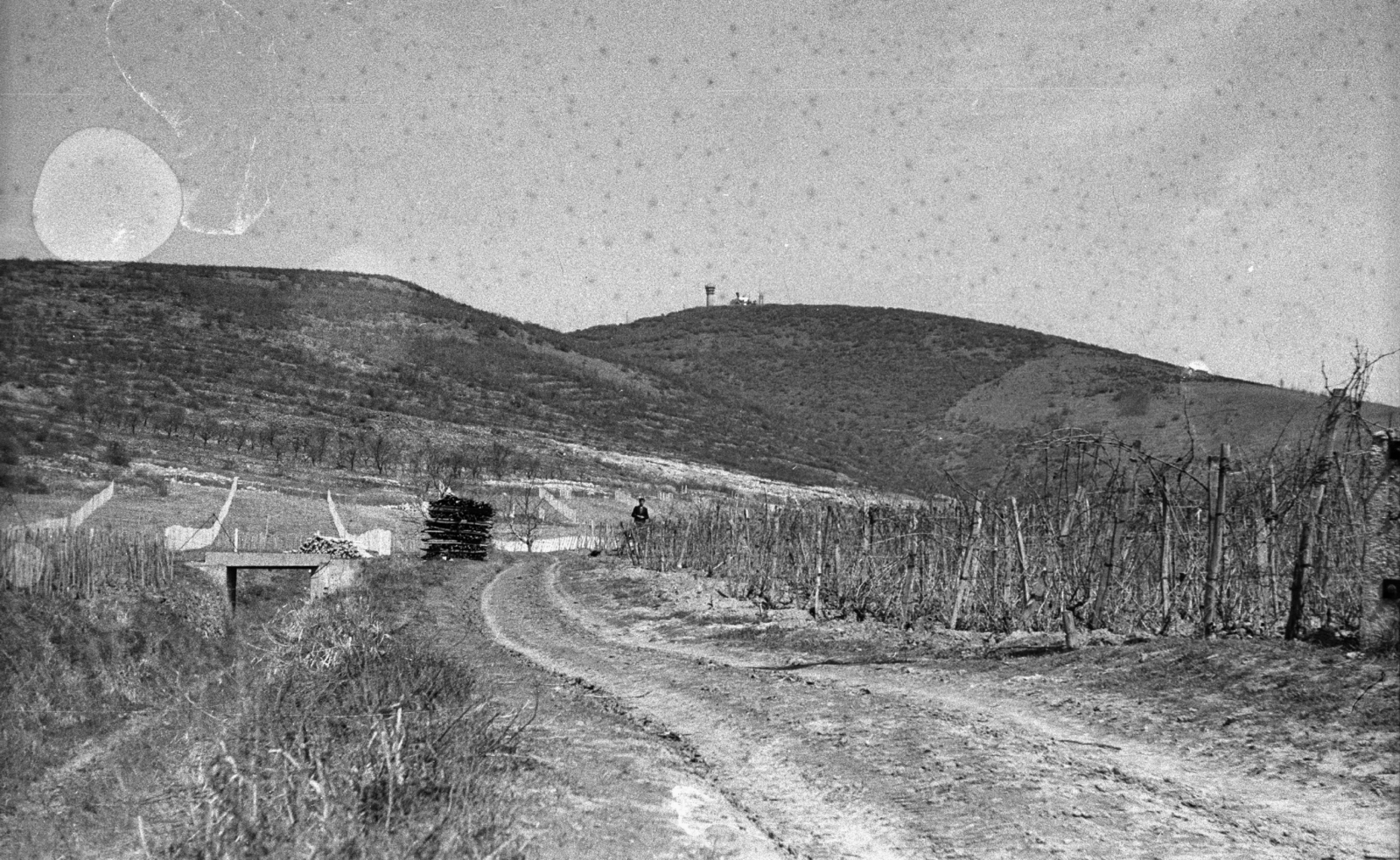 Hungary, Tokaj, szemben a Kopasz-hegy és a TV adótorony., 1965, Mészáros Zoltán, vine hill, Fortepan #46522
