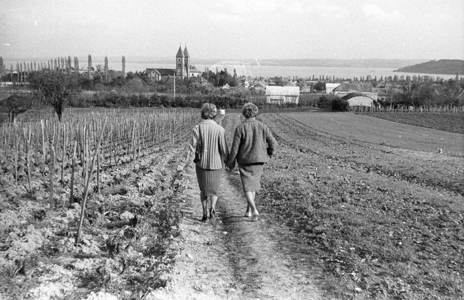 Magyarország, Balatonfüred, a Tölgyfa csárdától a Pacsirta utcáig vezető ösvény, háttérben középen a Krisztus Király-templom (Vörös templom), jobbra a Tihanyi-félsziget., 1966, Mészáros Zoltán, látkép, neoromán építészet, Fábián Gáspár-terv, Fortepan #46565