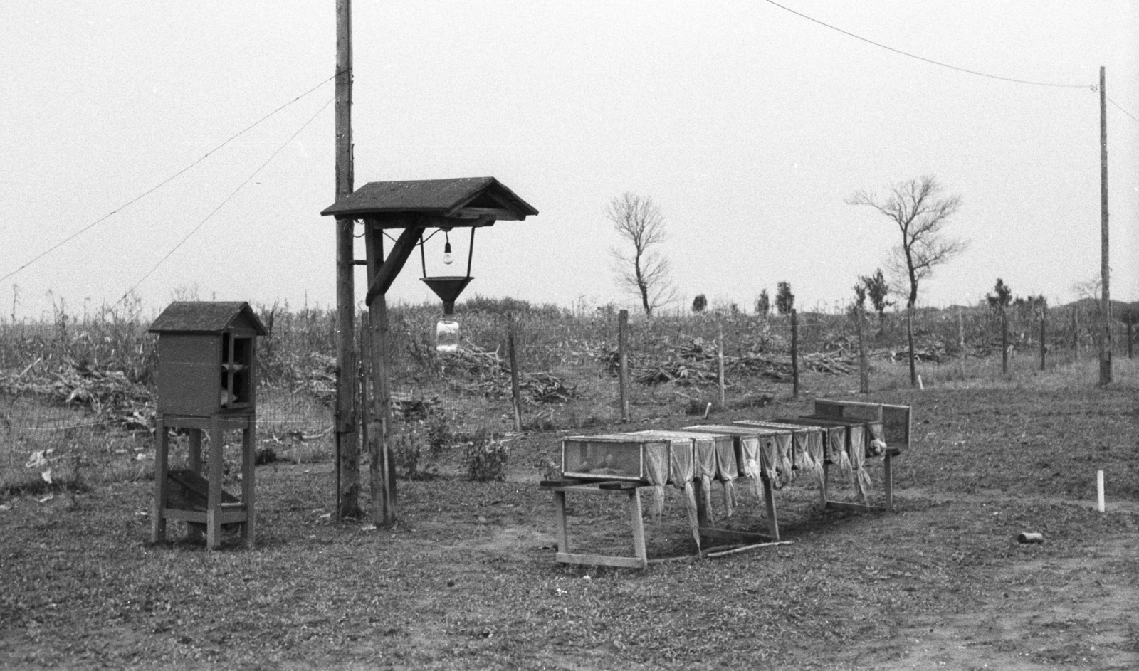 Hungary, meteorológiai megfigyelő állomás és fénycsapda., 1966, Mészáros Zoltán, meteorology, insect trap, Fortepan #46583