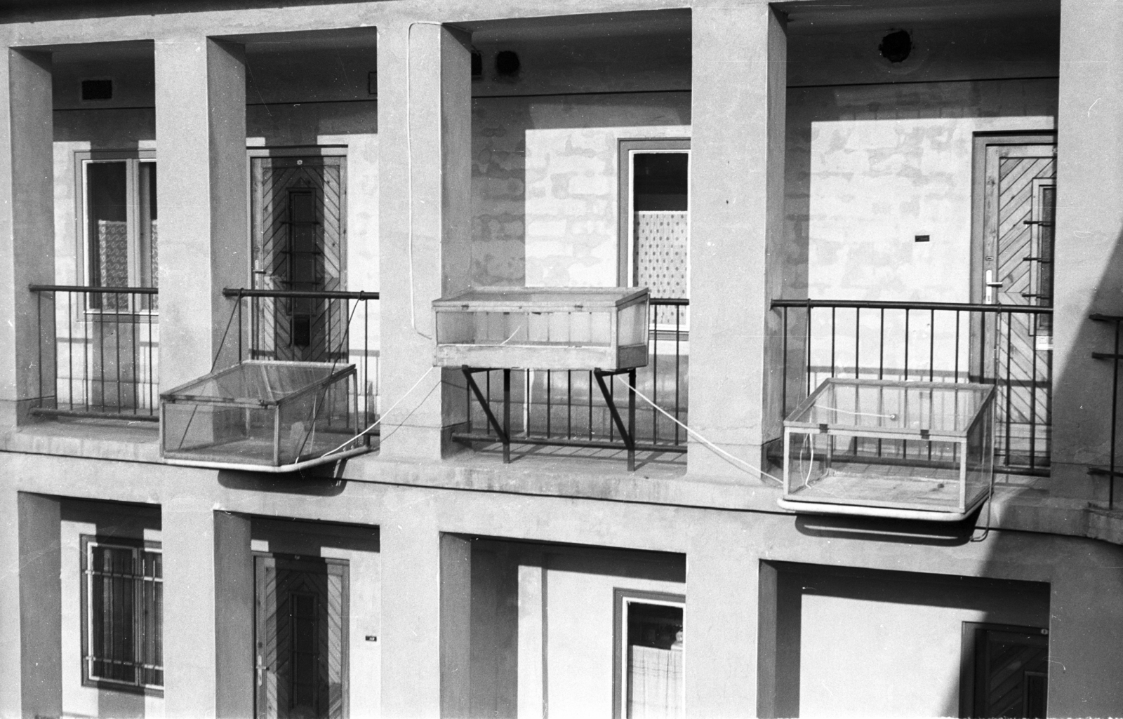 Hungary, Budapest XII., Márvány utca, kaktuszgyűjtemény üres üvegházai télen., 1967, Mészáros Zoltán, courtyard balcony, greenhouse, Budapest, Fortepan #46658