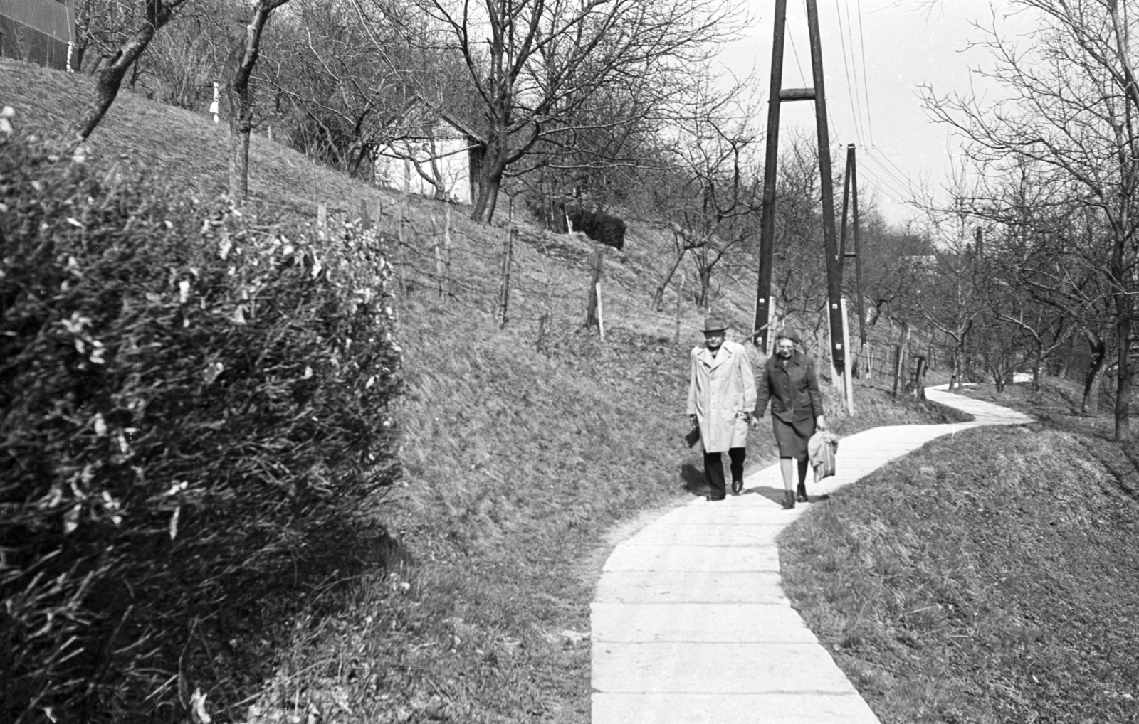 Hungary, Kőszeg, Királyvölgy., 1968, Mészáros Zoltán, walkway, couple, Fortepan #46696