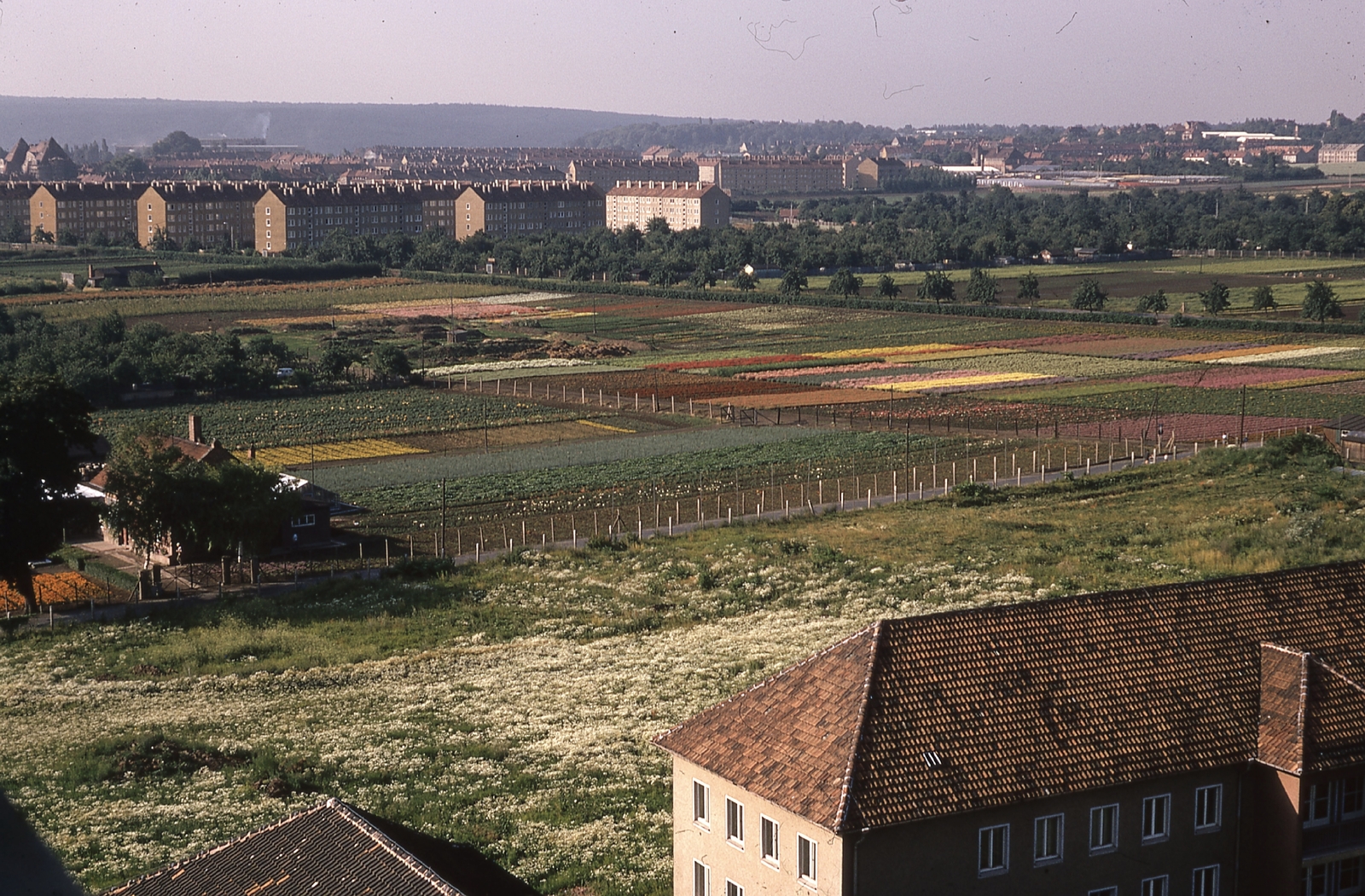 Németország, Erfurt, látkép a Pedagógiai Főiskola (később egyetem) felől a Mühlhauser Strasse felé nézve., 1970, Gwen Jones, színes, lakótelep, háztető, látkép, NDK, kertészet, Fortepan #46843