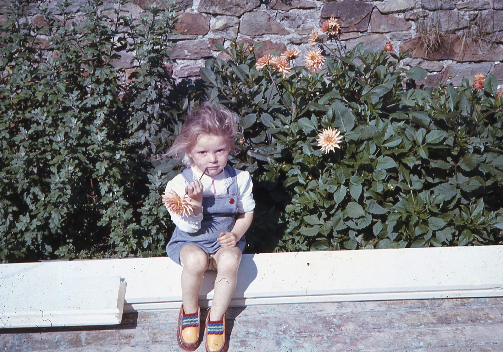 1970, Gwen Jones, színes, kislány, virág, Fortepan #46855