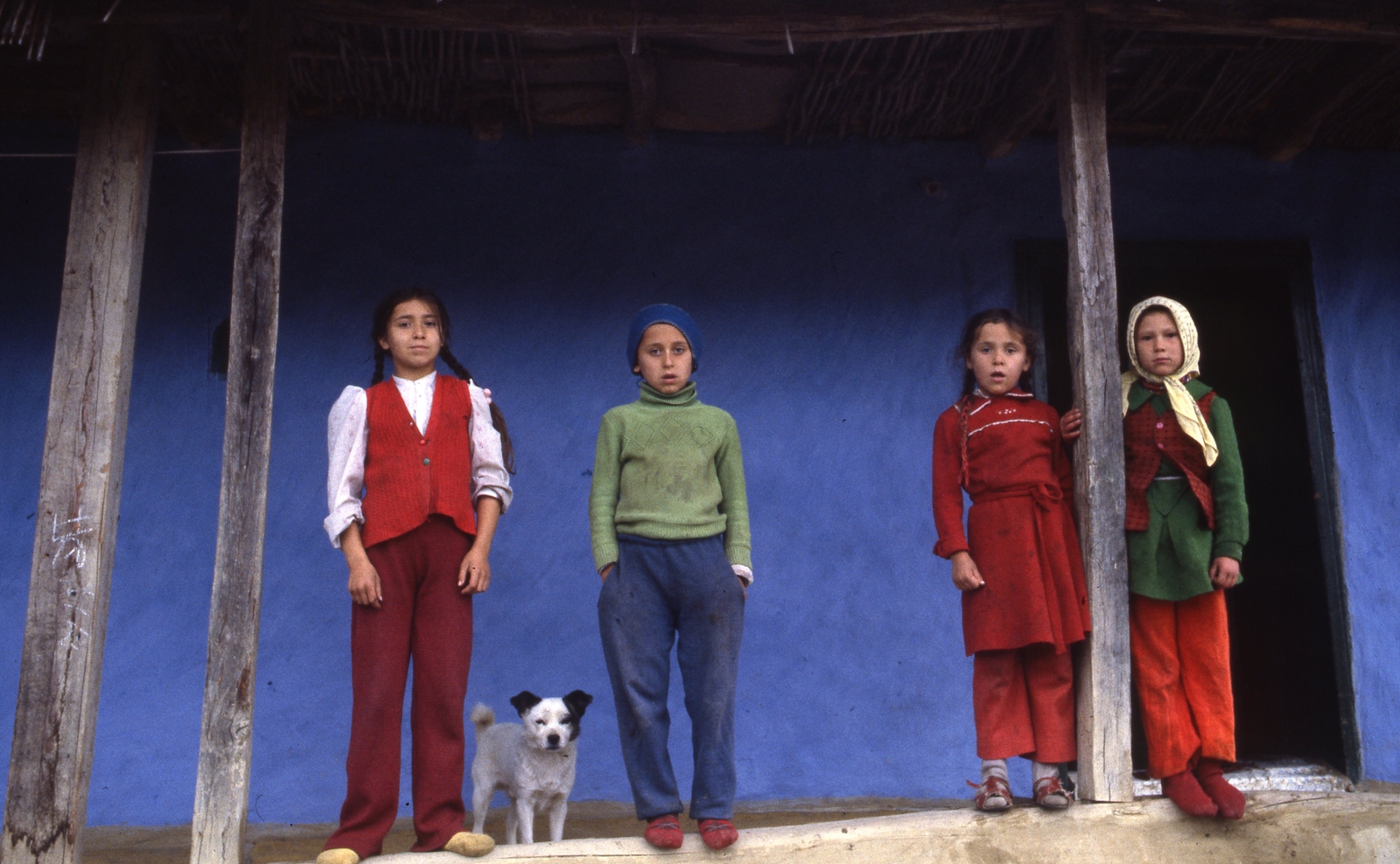 Romania,Transylvania, Sic, 1989, Urbán Tamás, colorful, dog, gypsy, kids, Fortepan #46952