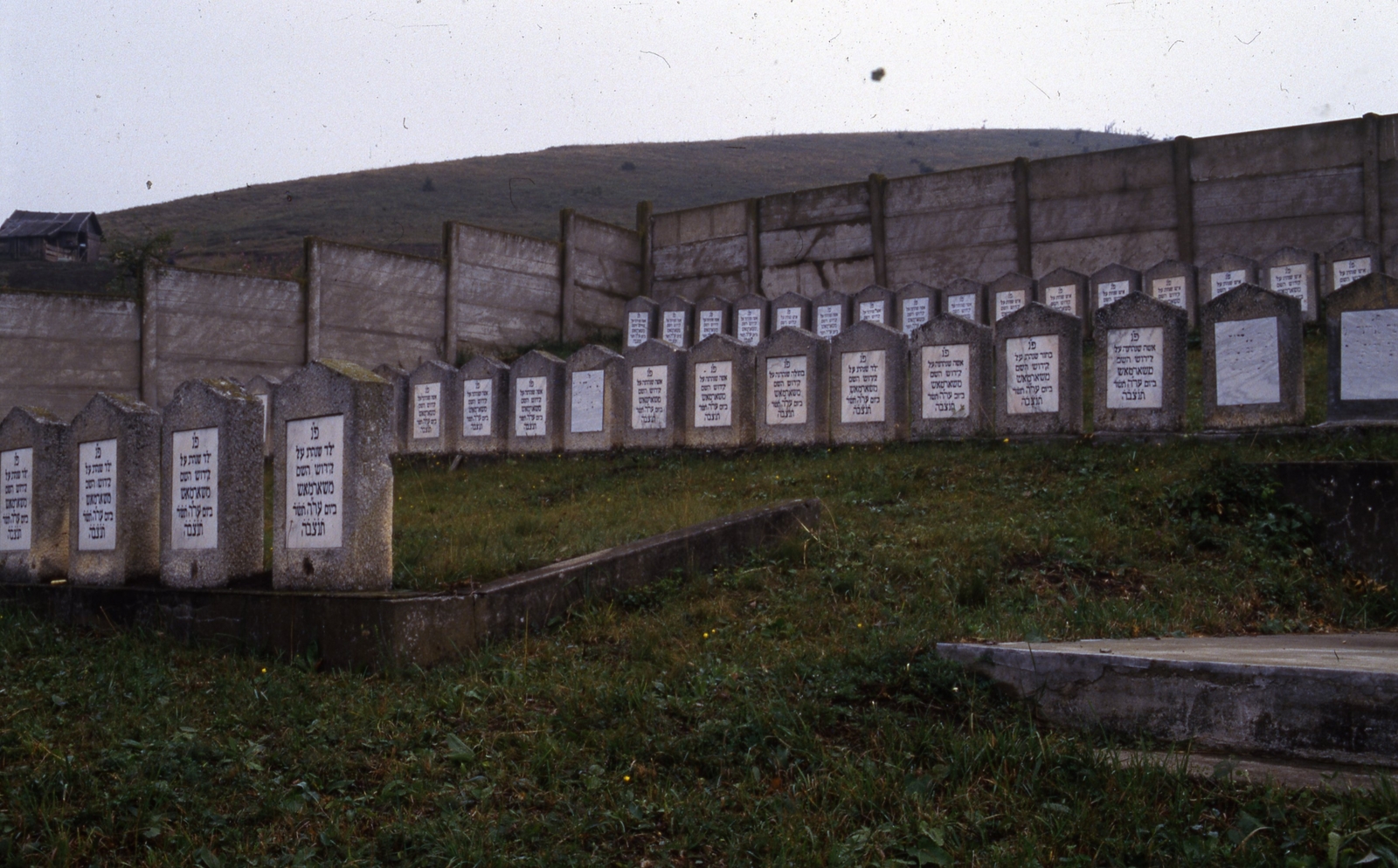 Romania,Transylvania, Nagysármás és Pusztakamarás között, az 1944. szeptemberi tömeggyilkosság zsidó áldozatainak temetője., 1986, Urbán Tamás, colorful, second World War, cemetery, judaism, mass murder, Hebrew script, Fortepan #46978