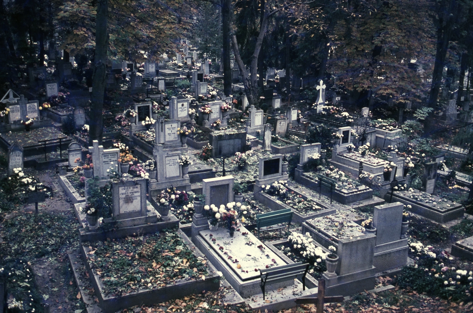 Romania,Transylvania, Cluj-Napoca, Házsongárdi temető., 1988, Urbán Tamás, colorful, cemetery, Fortepan #47001