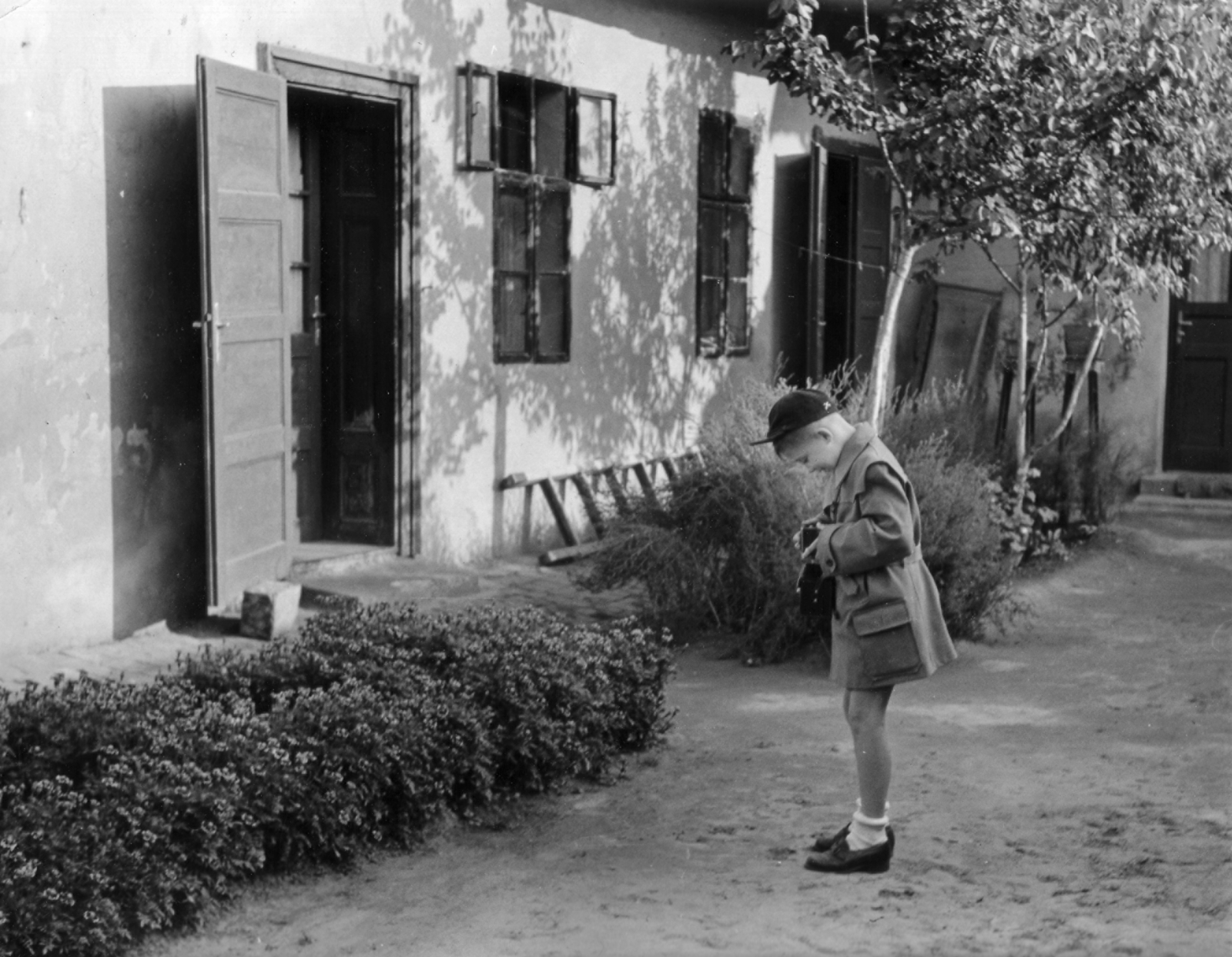 Hungary, , 1956, Urbán gyűjtemény, yard, ladder, flower, boy, building, photography, snocks, trench coat, windbreaker, Fortepan #47019