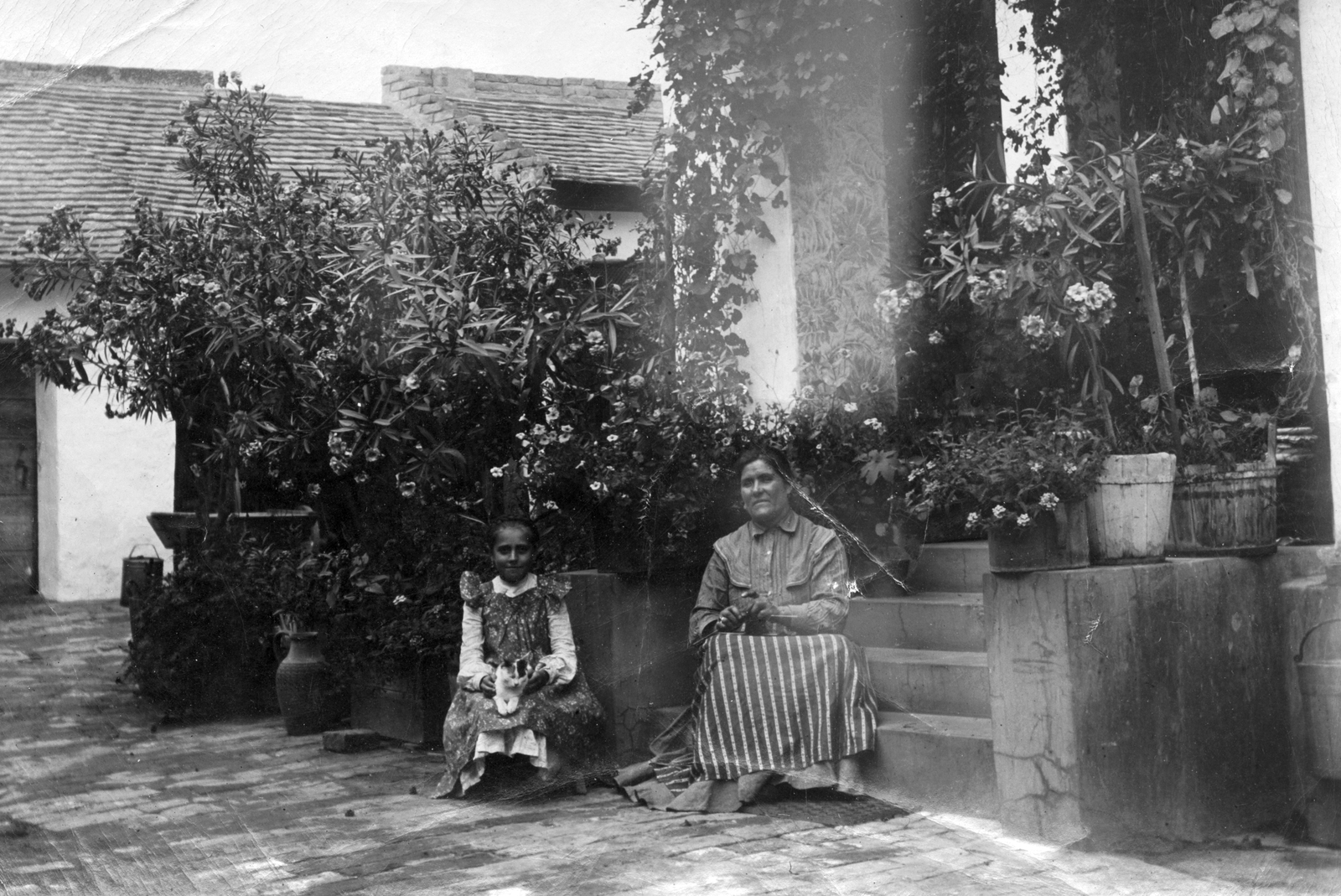 1915, Vargha Zsuzsa, yard, stairs, girl, woman, oleander, porch, bower, sitting on stairs, Fortepan #47305