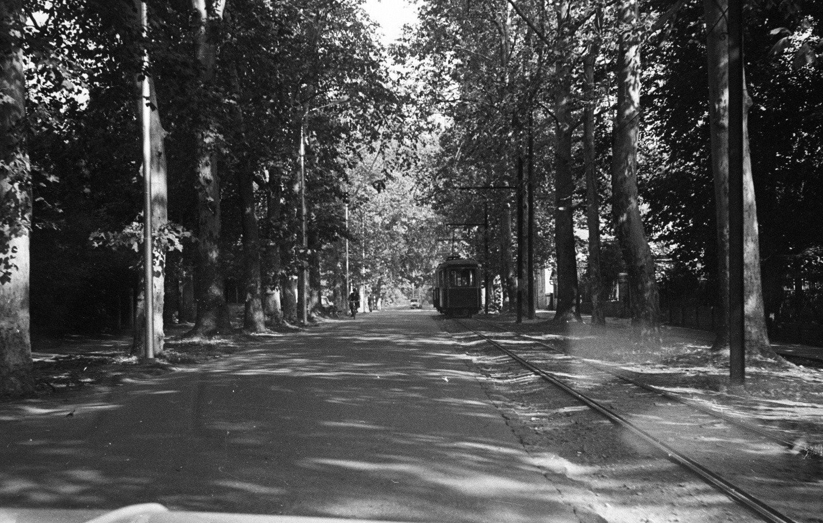 Serbia, Palić, a Spliti fasor a tó felől nézve., 1971, Nagy Gyula, Yugoslavia, tram, alley, Fortepan #50211