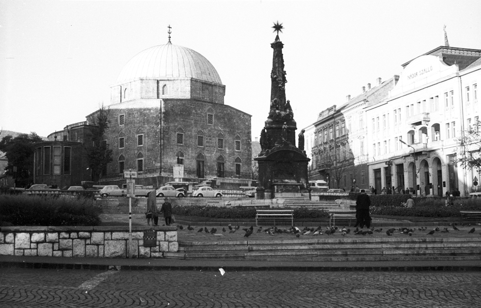 Hungary, Pécs, Széchenyi tér., 1964, Nagy Gyula, dove, mosque, Fortepan #50425