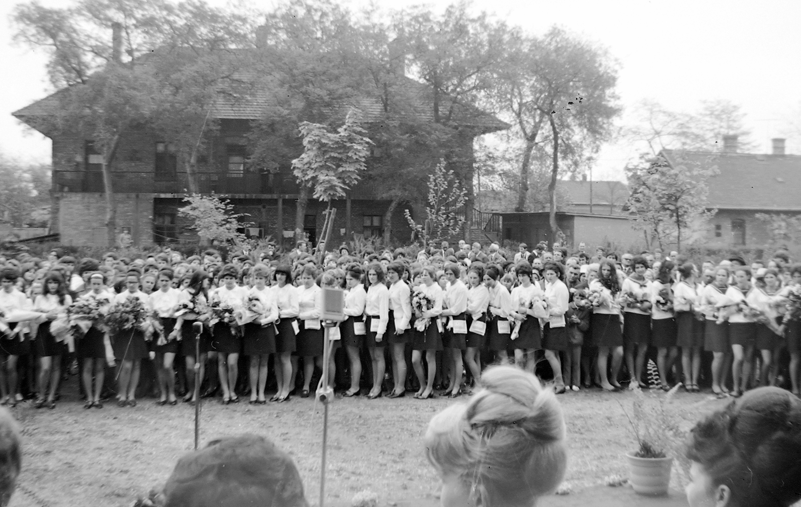 Hungary, 1976, Fortepan, school, education, tableau, Fortepan #5046