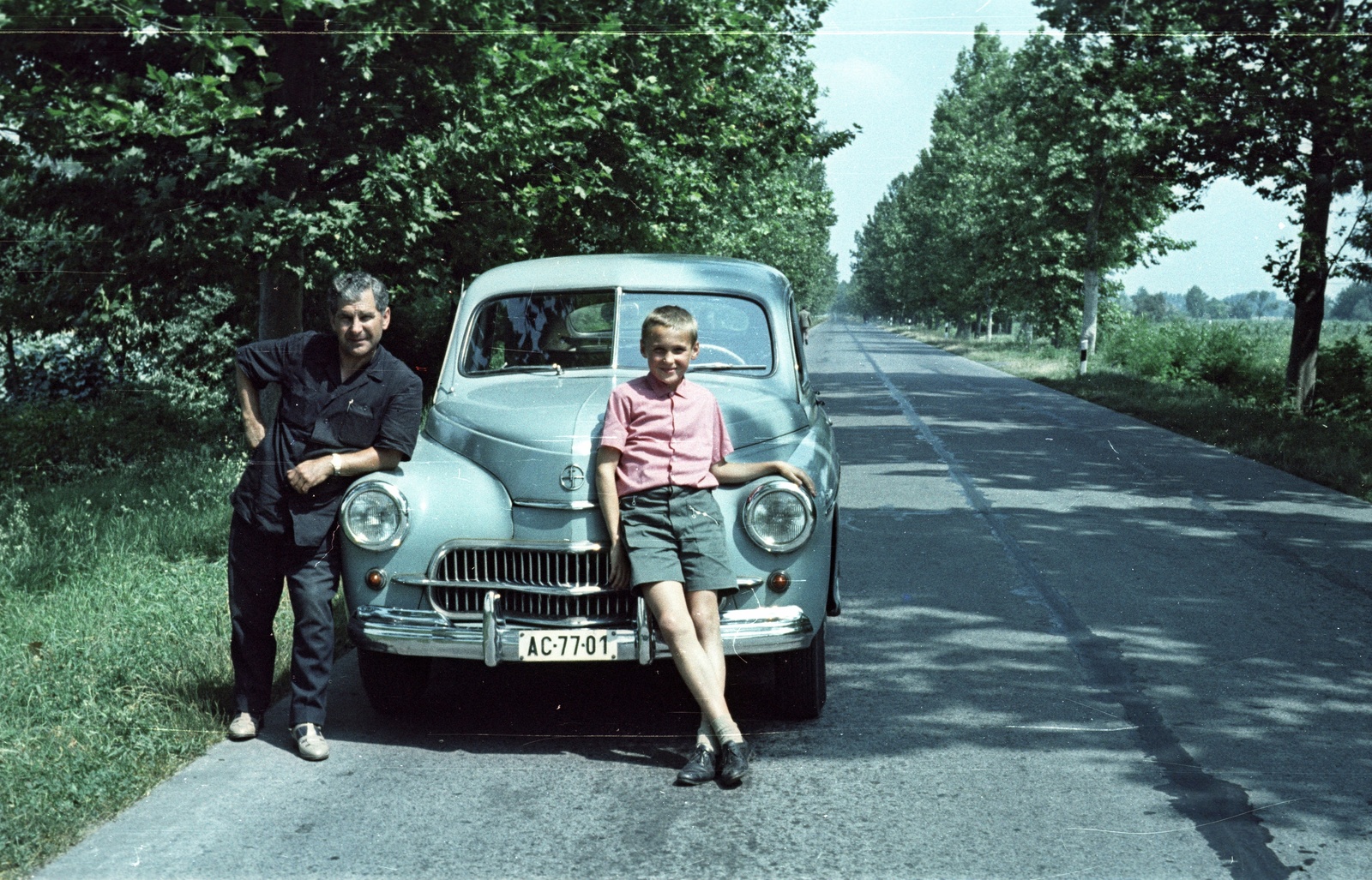 Hungary, 5-ös főút, 1965, Nagy Gyula, colorful, Polish brand, FSO-brand, number plate, Fortepan #50463