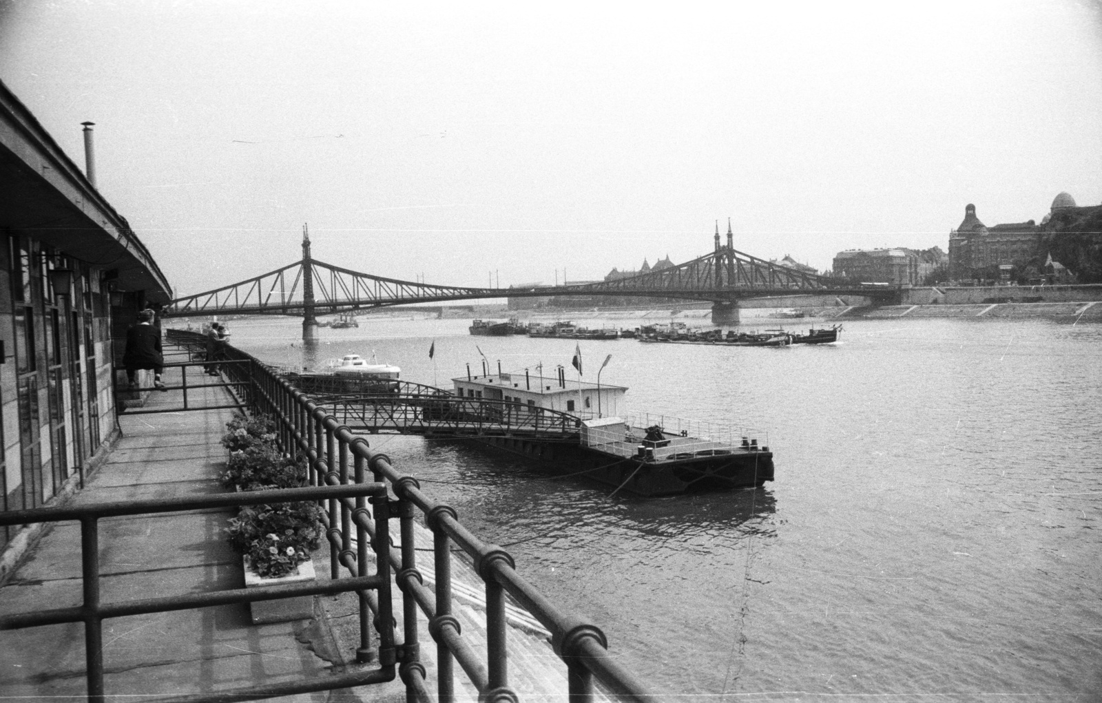 Hungary, Budapest V., Belgrád rakpart, Nemzetközi hajállomás, háttérben a Szabadság híd., 1964, Nagy Gyula, bridge, Danube, Budapest, Duna-bridge, János Feketeházy-design, Fortepan #50627
