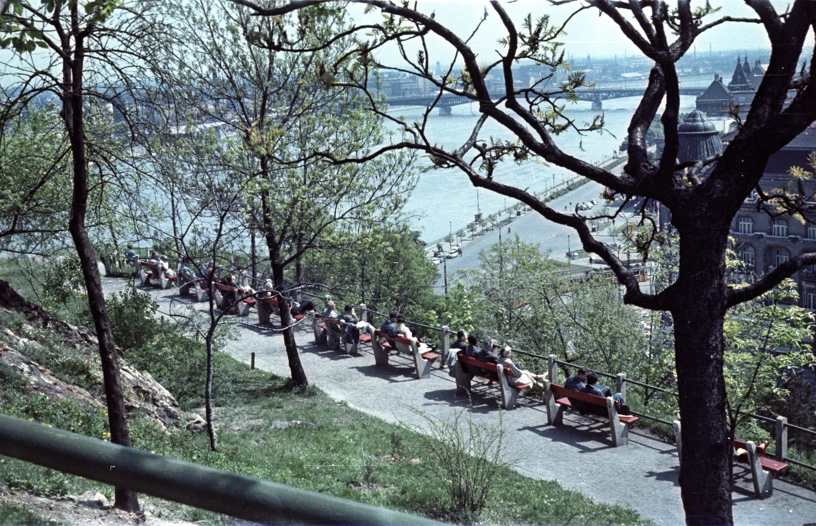 Magyarország, Budapest XI., kilátás a Szent Gellért tér és a Petőfi híd felé., 1964, Nagy Gyula, színes, tavasz, pad, kilátás, Duna, Budapest, Duna-híd, Álgyay Hubert Pál-terv, Fortepan #50648