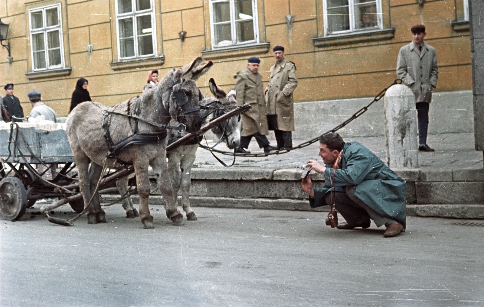 Hungary, Székesfehérvár, Városház (Szabadság) tér, háttérben a Városháza., 1963, Nagy Gyula, colorful, street view, donkey, coach, camera, photography, Kiev-brand, Fortepan #50767