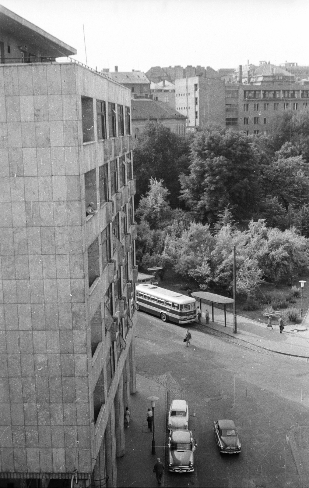 Hungary, Budapest II., Keleti Károly utca, Mechwart liget a Margit körút (Mártírok útja) felől nézve., 1965, Nagy Gyula, bus, Trabant-brand, Hungarian brand, Ikarus-brand, bus stop, Ikarus 620, automobile, Budapest, Fortepan #50829