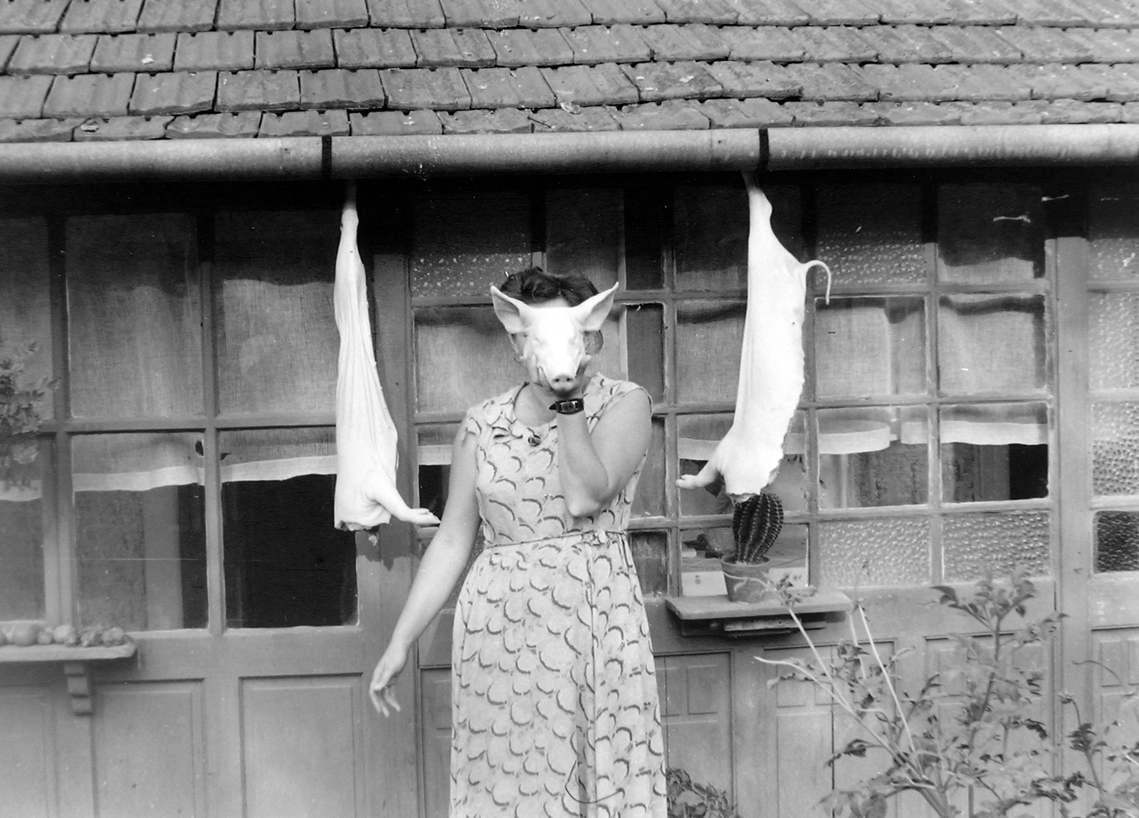 1957, Fortepan, humour, cactus, pig slaughter, woman, mask, Fortepan #5102