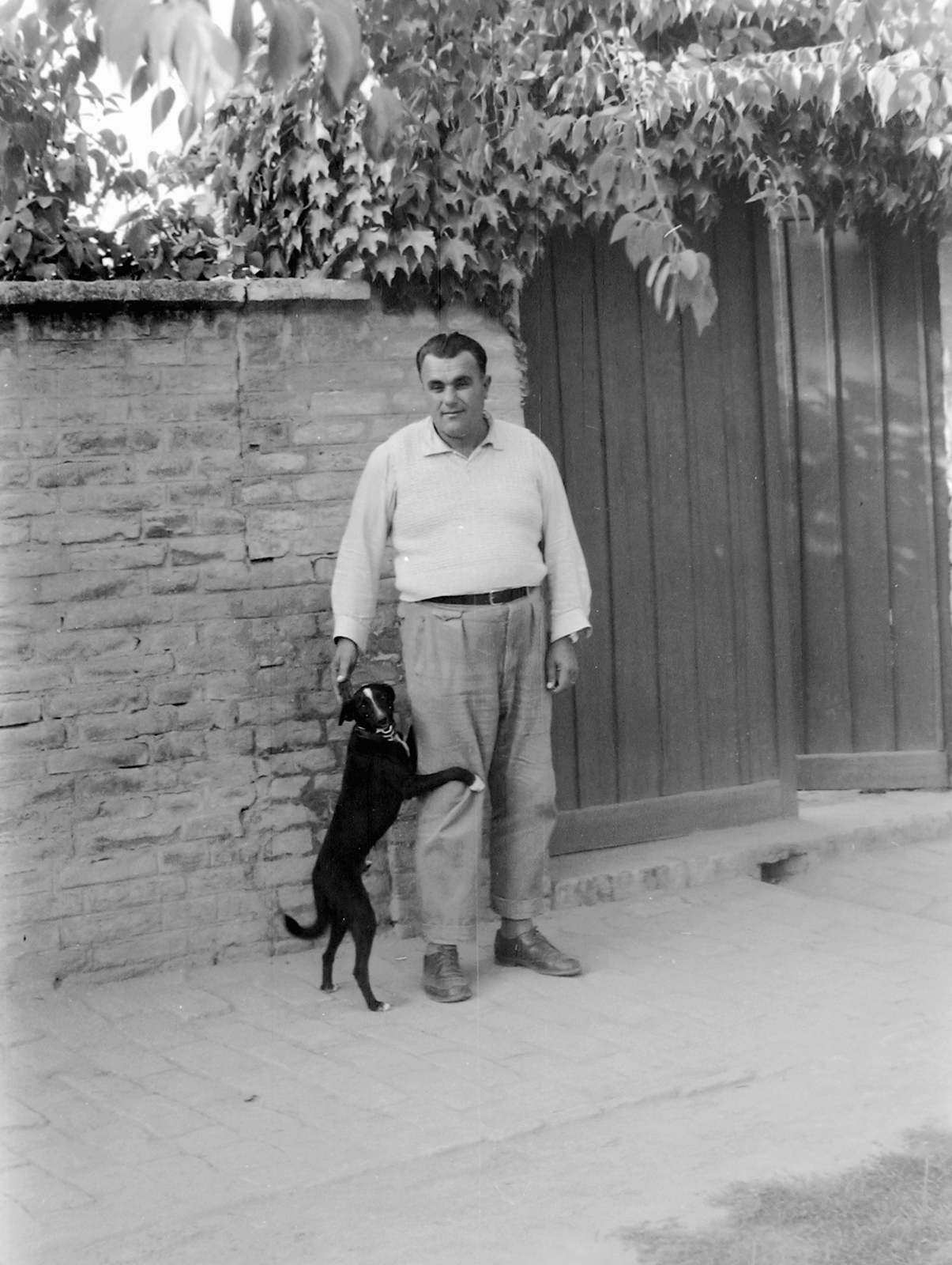 1957, Fortepan, portrait, dog, gate, man, Fortepan #5105