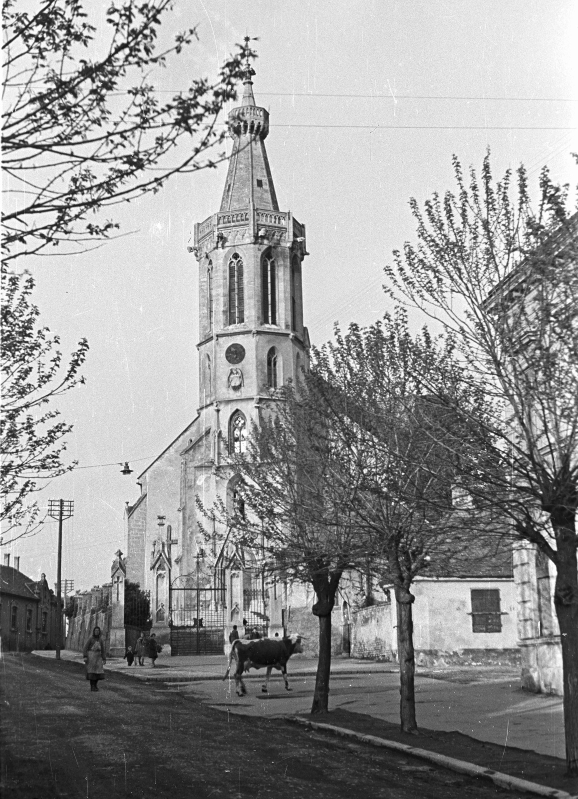 Hungary, Sopron, Szent Mihály (Kellner Sándor) utca, Szent Mihály-templom., 1957, Nagy Gyula, church, cattle, Fortepan #51730