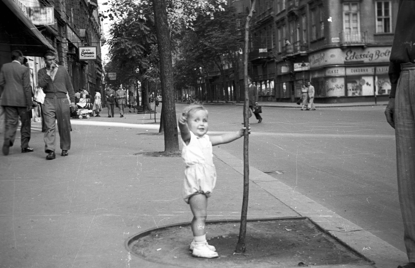 Magyarország, Budapest V., Egyetem tér, szemben a Kecskeméti utca., 1955, Nagy Gyula, cégtábla, utcakép, életkép, kisfiú, Budapest, Fortepan #51761