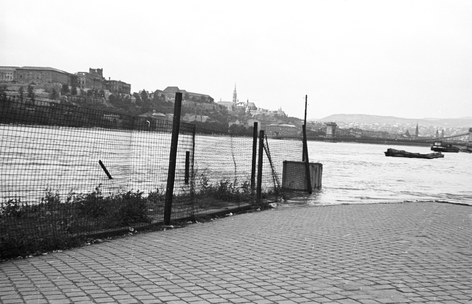 Magyarország, Budapest V., pesti alsó rakpart a Petőfi térnél, szemben a budai Vár és a Széchenyi Lánchíd., 1954, Nagy Gyula, híd, háborús kár, árvíz, vár, Duna, Budapest, függőhíd, William Tierney Clark-terv, Fortepan #51828