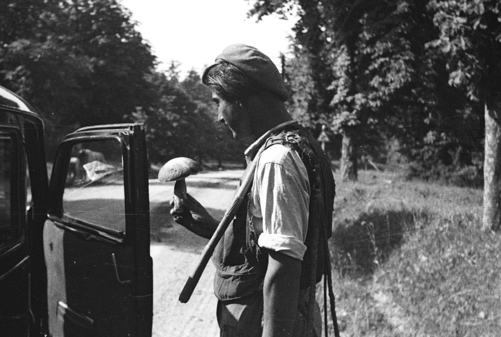 1953, Nagy Gyula, whip, mushroom, Fortepan #51840