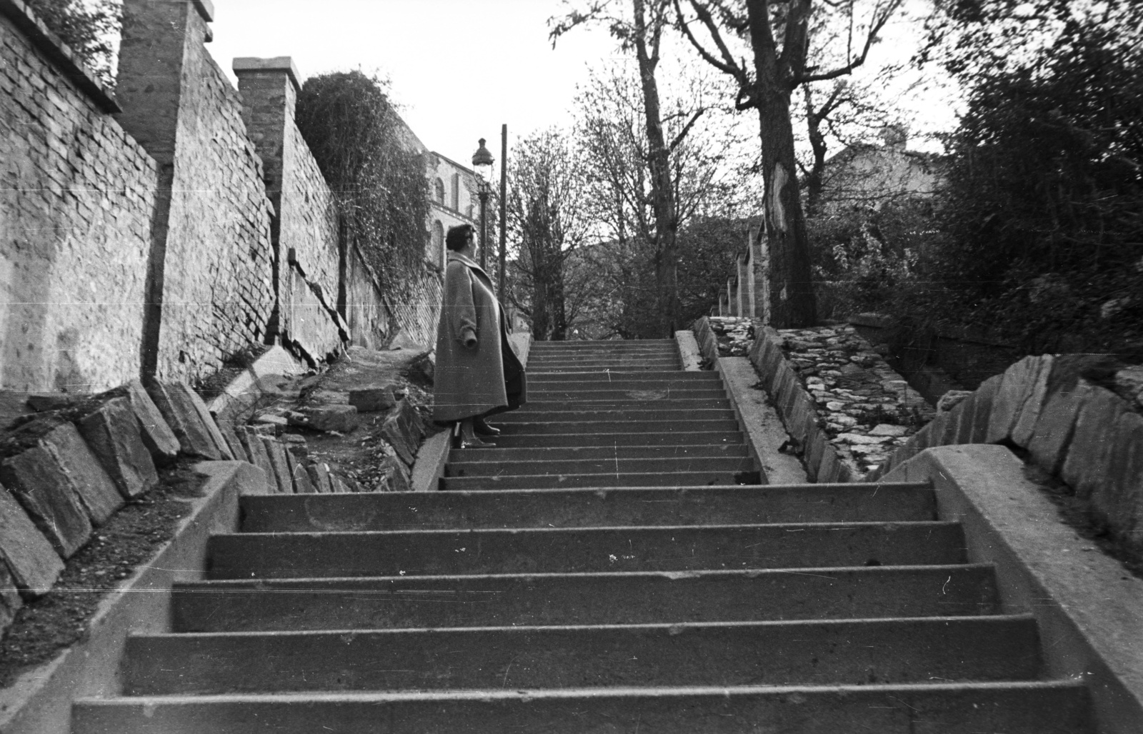 Hungary, Budapest I., a Linzi lépcső a Szabó Ilonka utcától a Vár felé nézve., 1953, Nagy Gyula, stairs, Budapest, Fortepan #51884