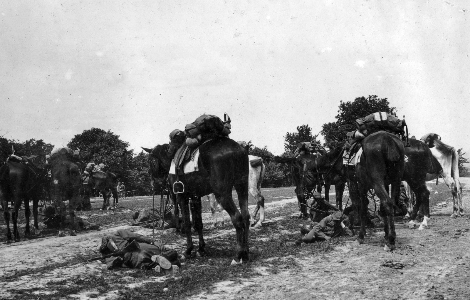 Pihenő ezredtörzs., 1915, Komlós Péter, First World War, horse, rider, Fortepan #52227