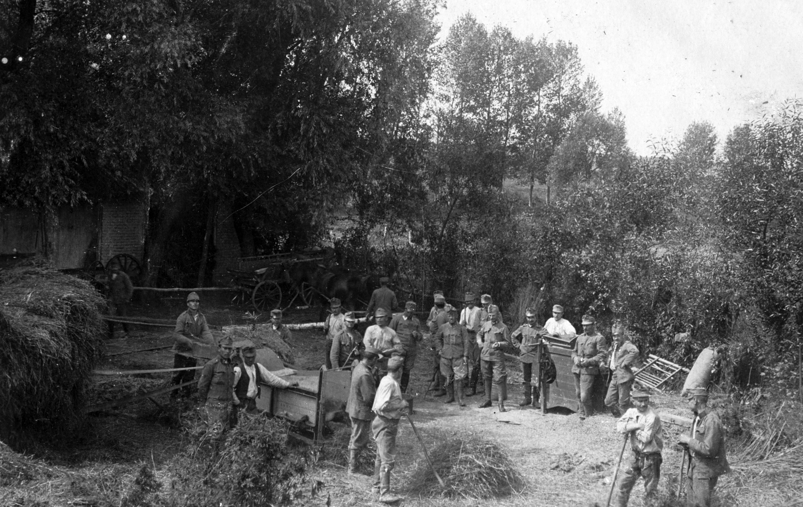 1916, Komlós Péter, első világháború, szalma, Fortepan #52265