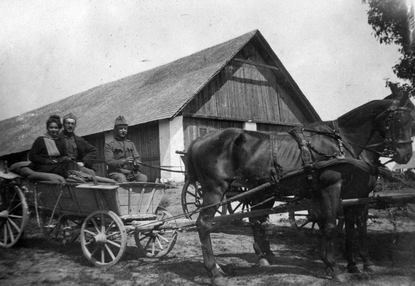 Ukraine, Davydiv, (ekkor Davidow)., 1916, Komlós Péter, Horse-drawn carriage, Fortepan #52268