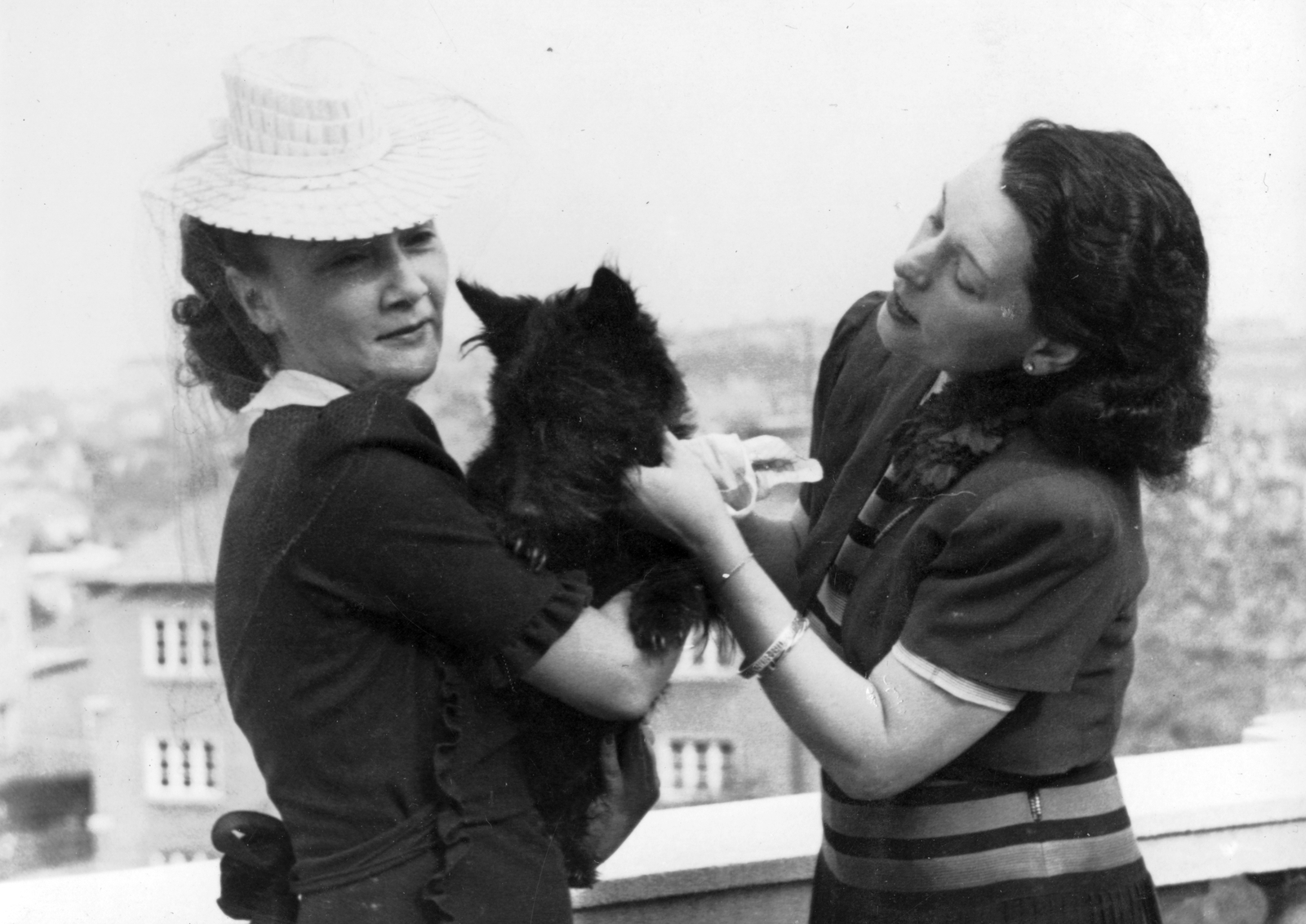 Hungary, Budapest XII., Stromfeld Aurél (Pilsudski) út, Bajor Gizi színművésznő (jobbra) villája teraszán Elsa Merlini olasz színművésznővel., 1940, Fortepan, dog, Budapest, Fortepan #52431