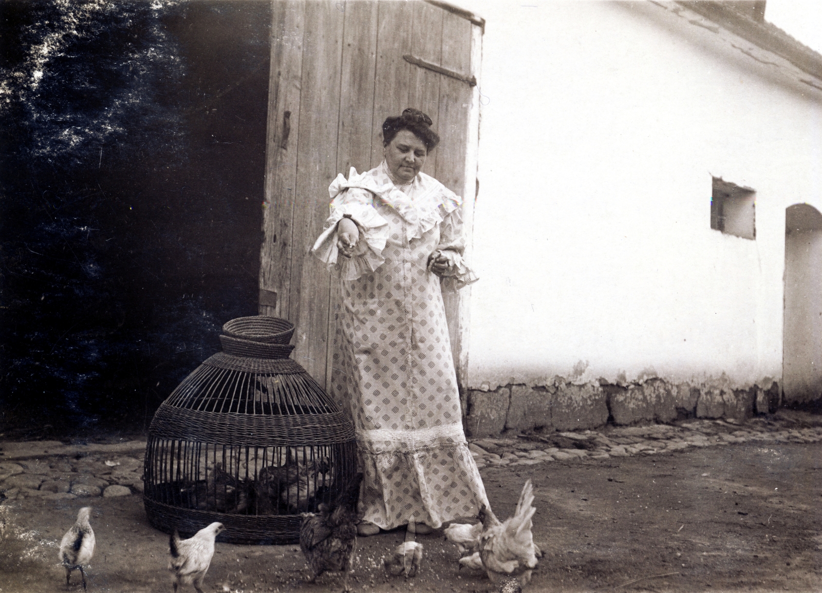 1910, Erdőssy Béla, poultry, pen, Fortepan #52706