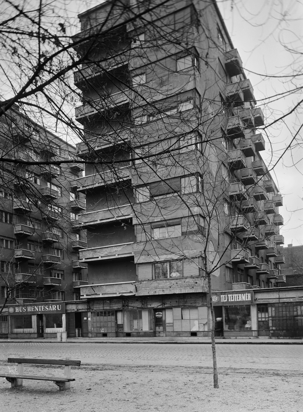 Hungary, Budapest VIII., II. János Pál pápa (Köztársaság) tér 15., az Országos Társadalombiztosító Intézet (OTI) lakóház-csoport egyik épülete., 1957, UVATERV, street furniture, sign-board, butcher shop, dairy, Budapest, Fortepan #5298