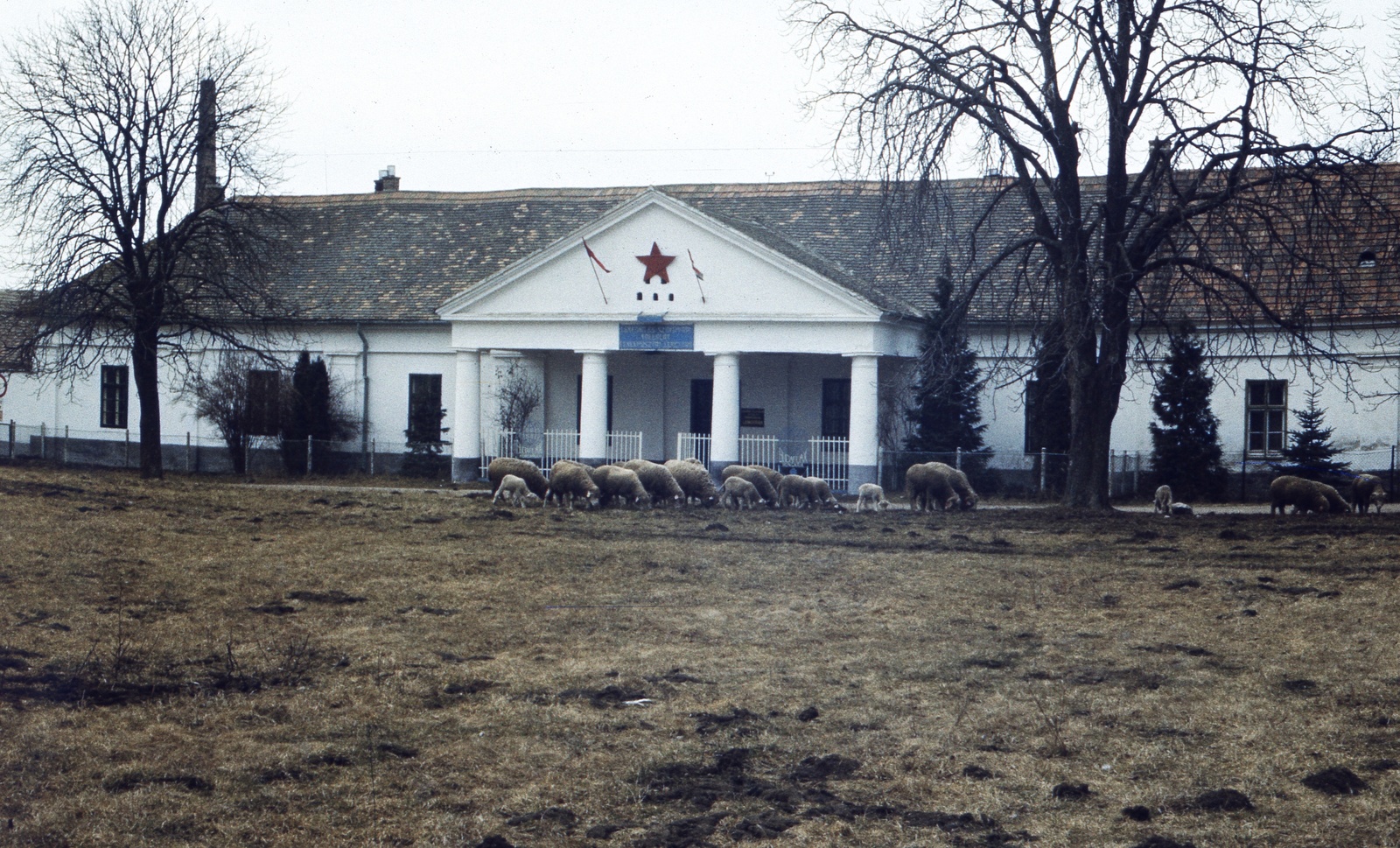 Magyarország,Balaton, Keszthely, az egykori Festetics uradalom majorsága, ekkor a Lengyár kultúrháza., 1979, Balázs Lajos, színes, juh, vörös csillag, timpanon, oszlopsor, Fortepan #53387