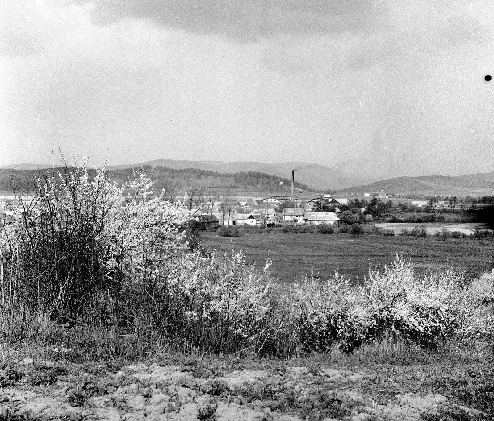 Slovakia, Poltár, Ipolyszele (ekkor önálló, ma a város része)., 1959, Zsanda Zsolt, Vajszada Károly, Czechoslovakia, factory chimney, bush, Fortepan #53735