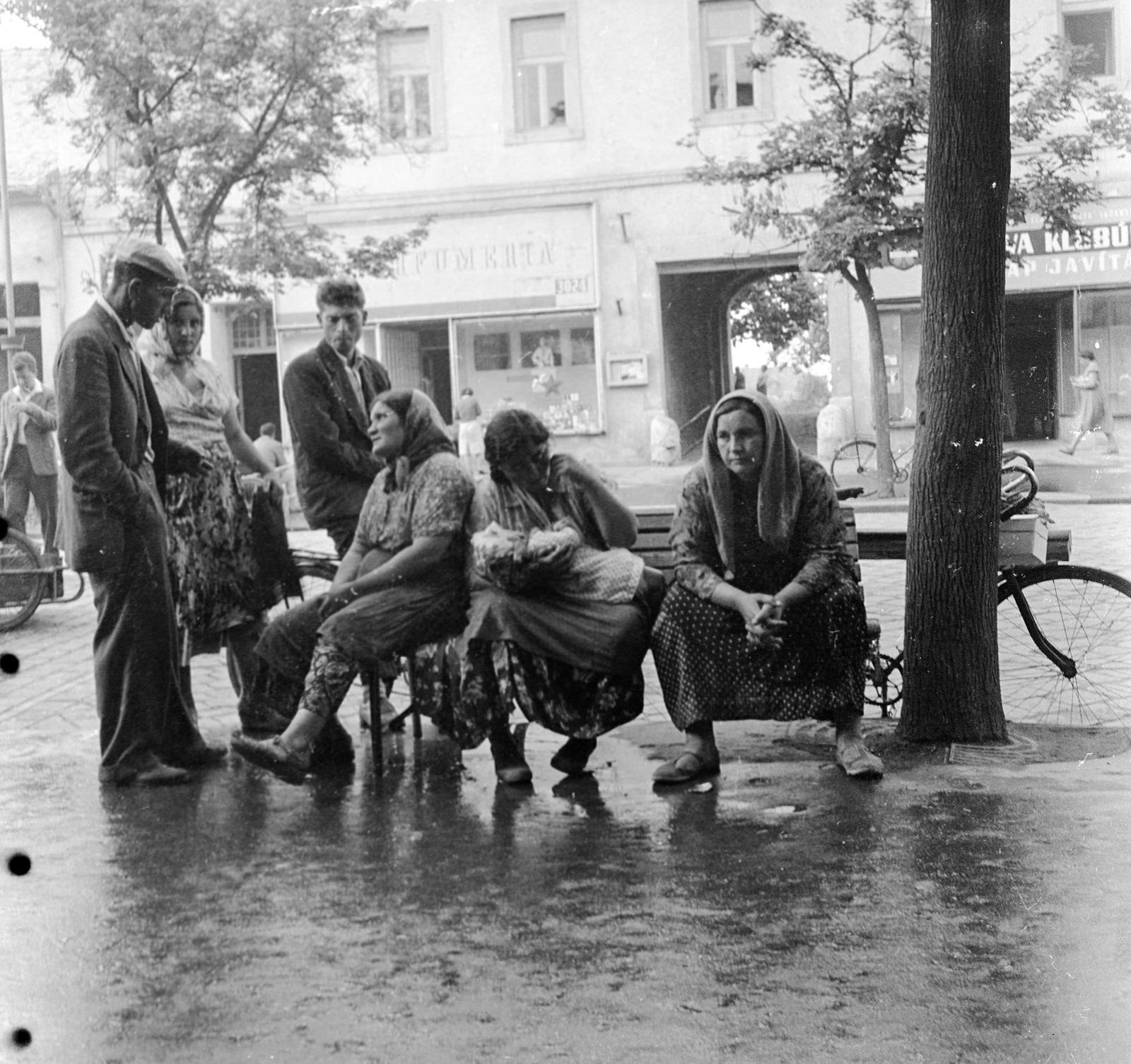 Szlovákia, Losonc, ulica Tomása Garrigue Masaryka 9., 1959, Zsanda Zsolt, Vajszada Károly, Csehszlovákia, cigányság, kétnyelvű felirat, országúti kerékpár, Fortepan #53755