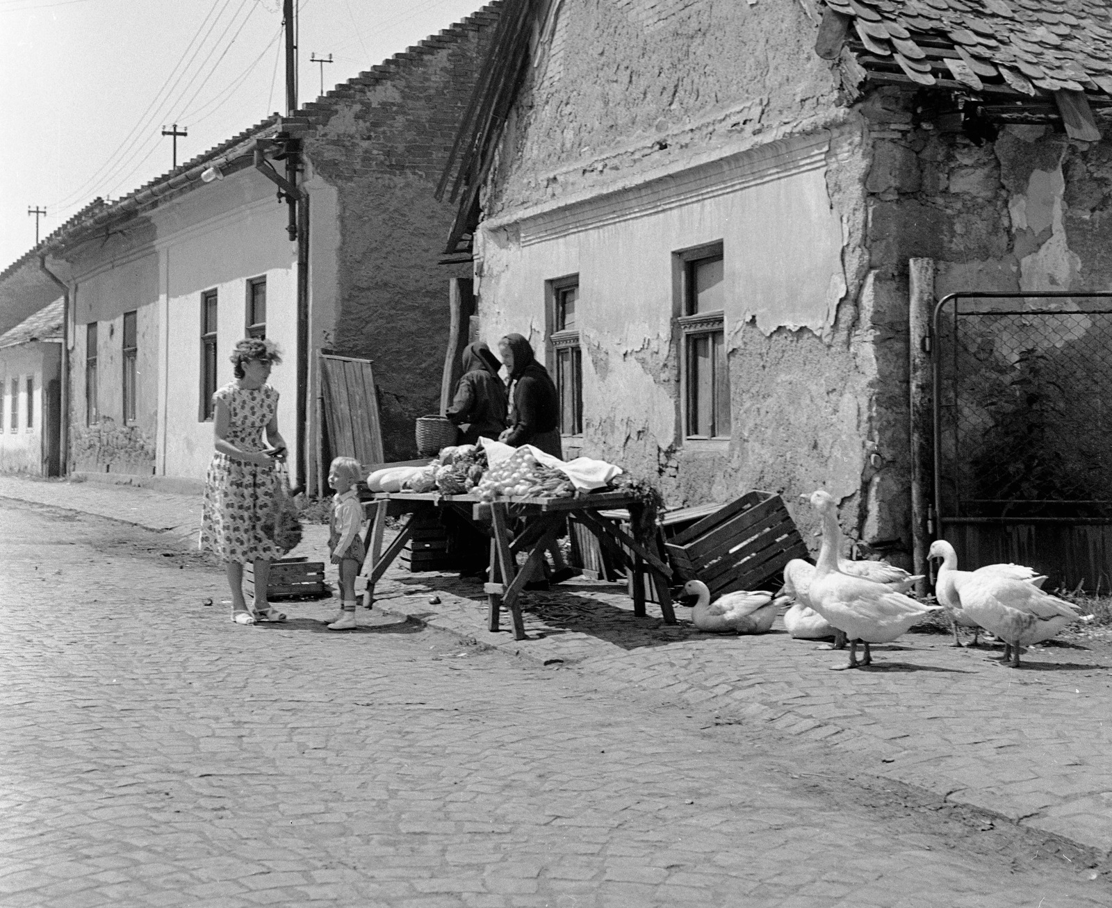 Szlovákia, Fülek, ulica Trhova (Piac utca)., 1959, Zsanda Zsolt, Vajszada Károly, Csehszlovákia, lúd, eladó, Fortepan #53794